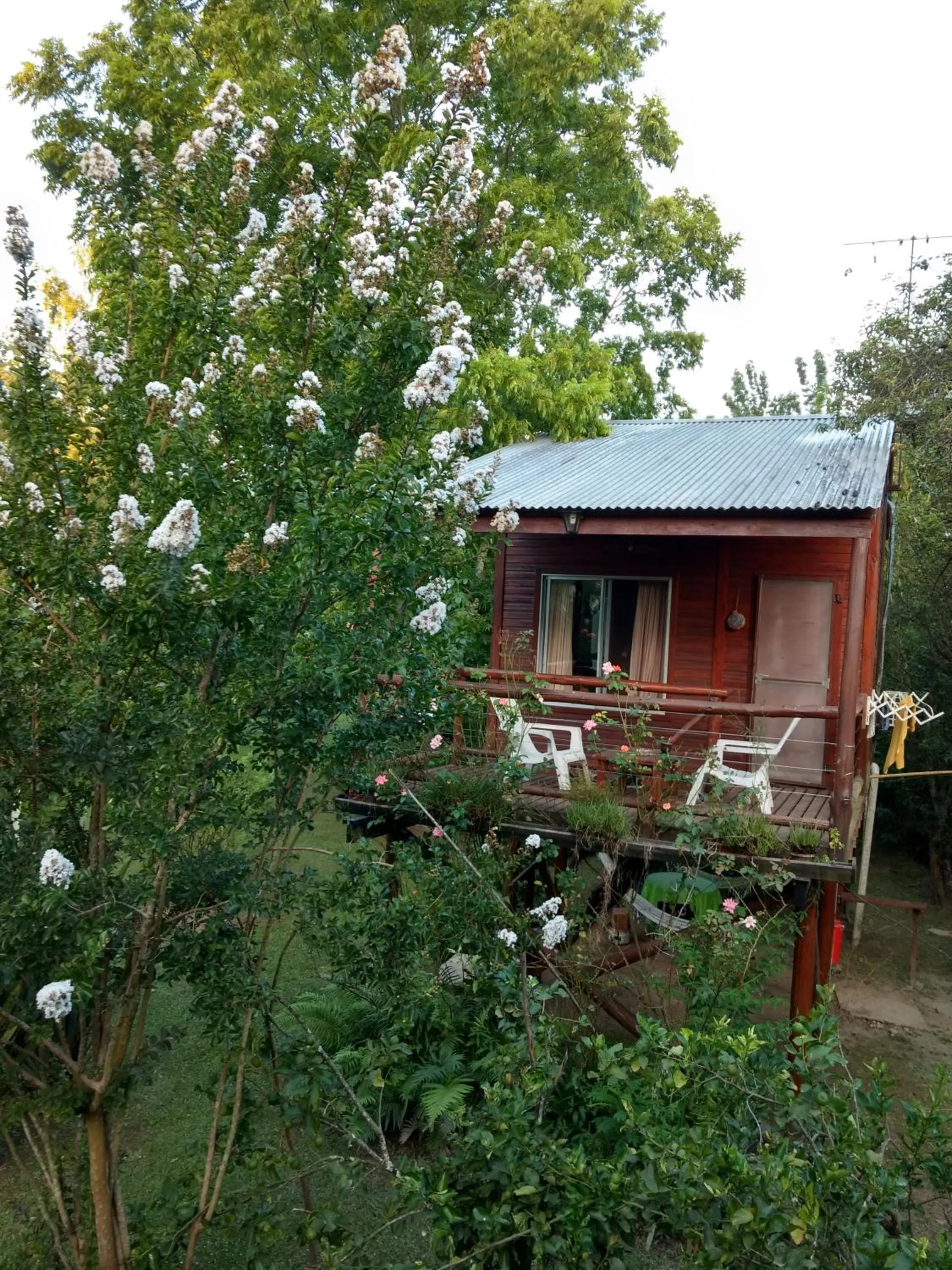 Cabañas ICh