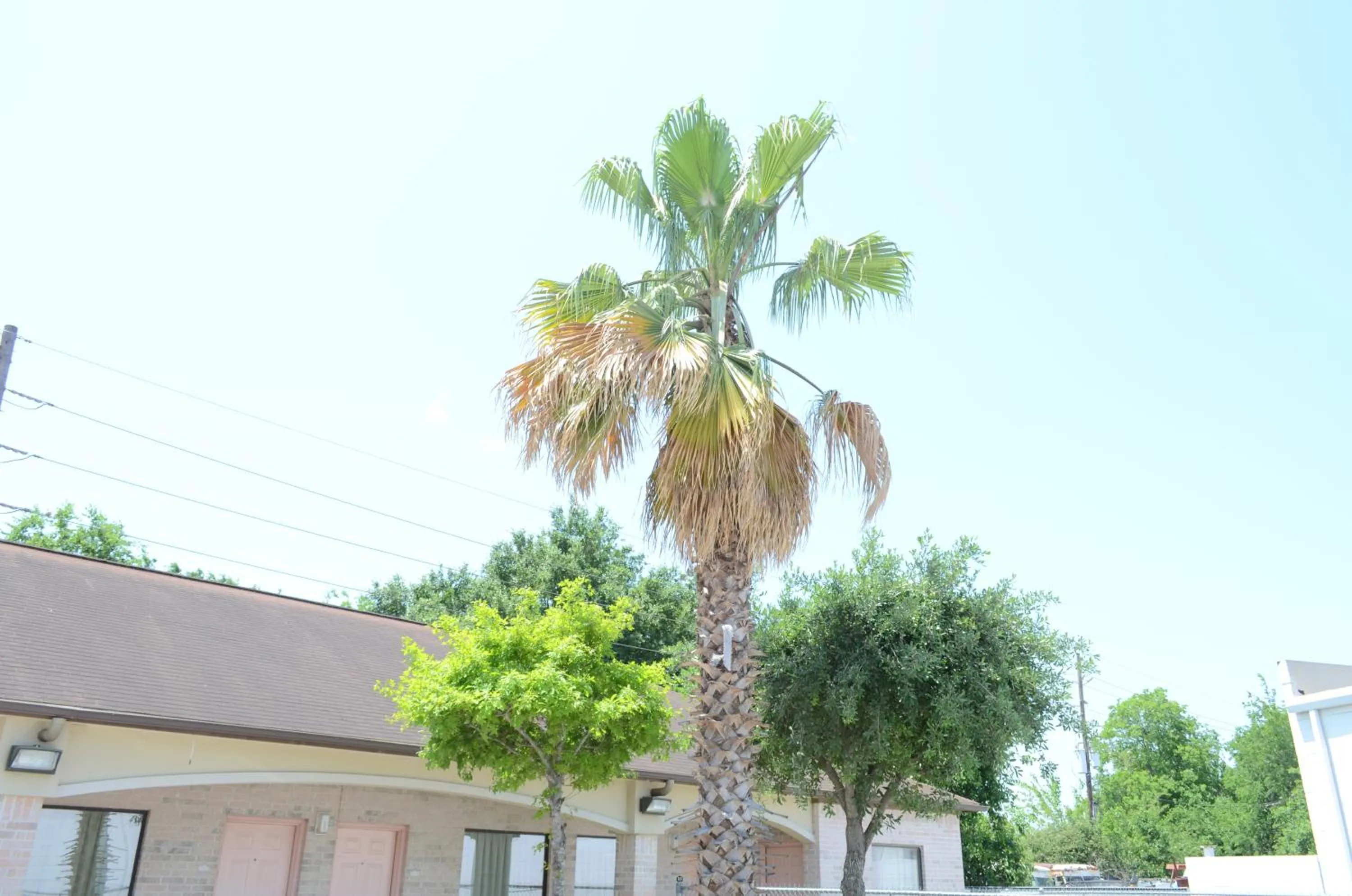 Area and facilities in Texan Inn & Suites