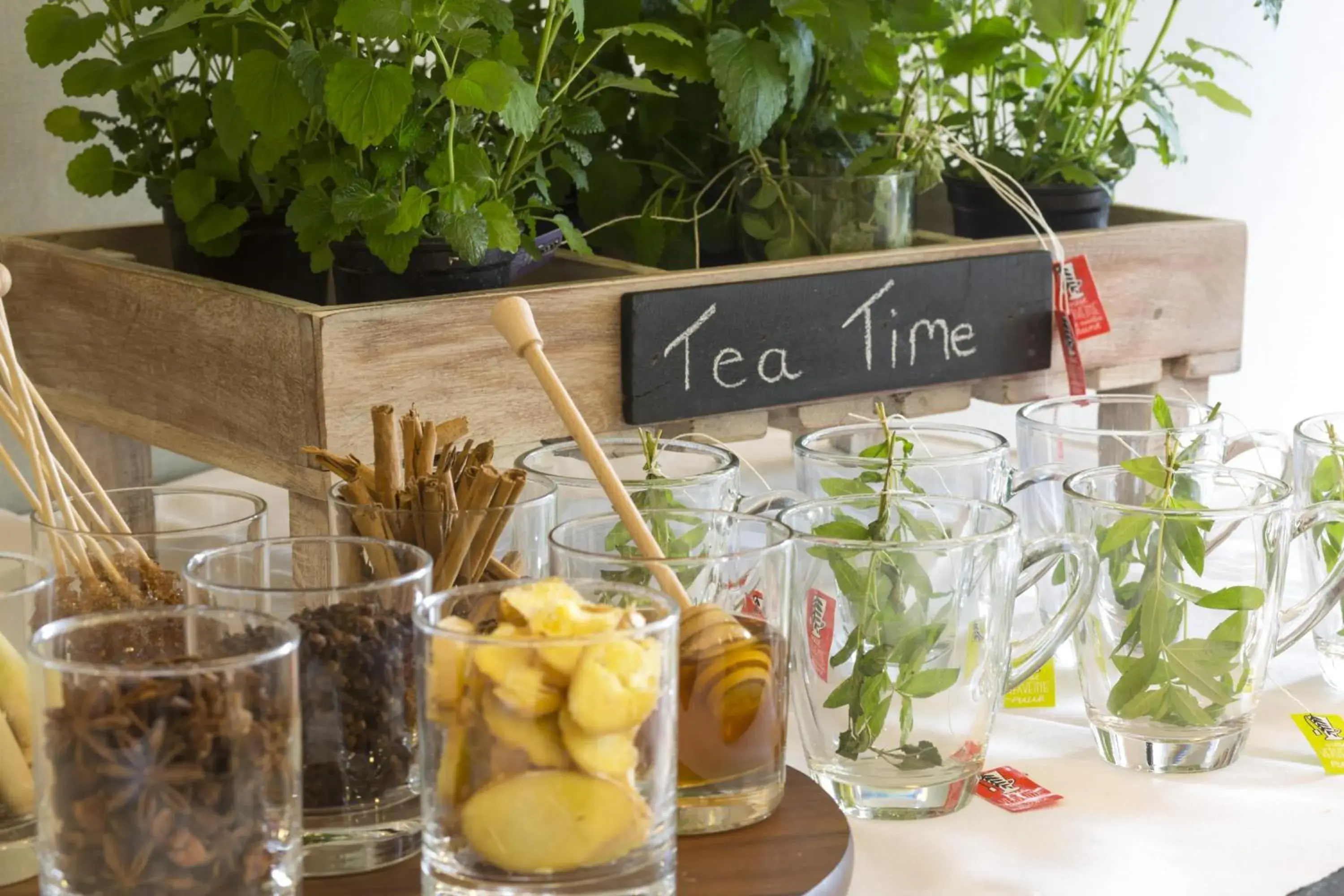 Breakfast in NH Noordwijk Conference Centre Leeuwenhorst Breakfast in NH Noordwijk Conference Centre Leeuwenhorst