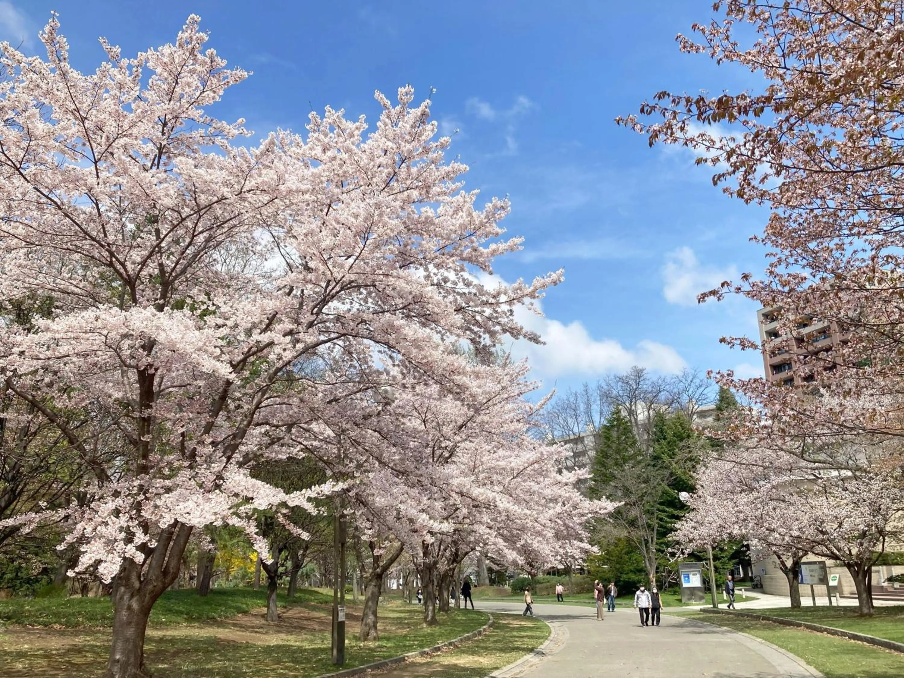 Off site in Hotel Lifort Sapporo