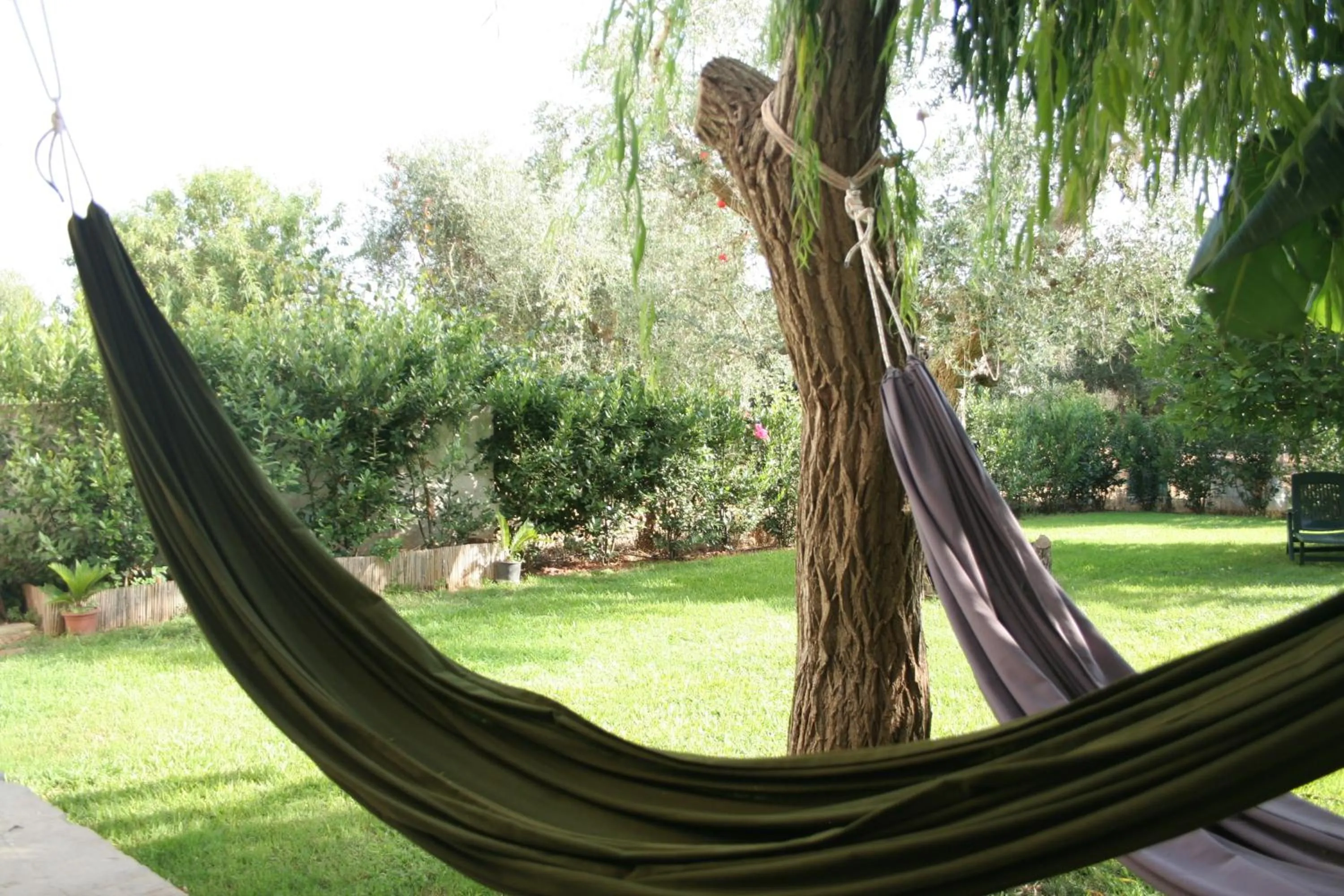 Garden in Casa di Marco