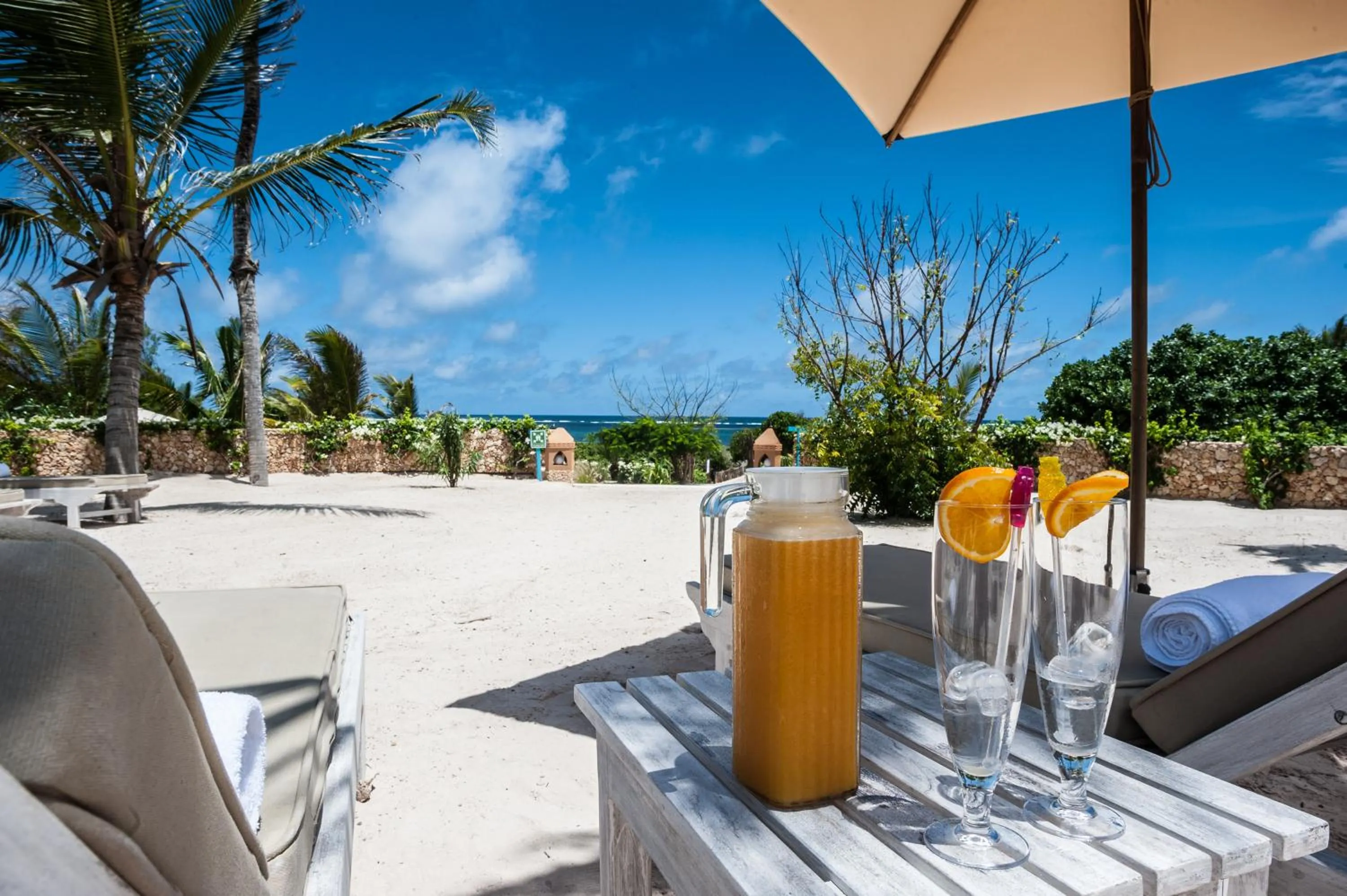 Beach in Medina Palms