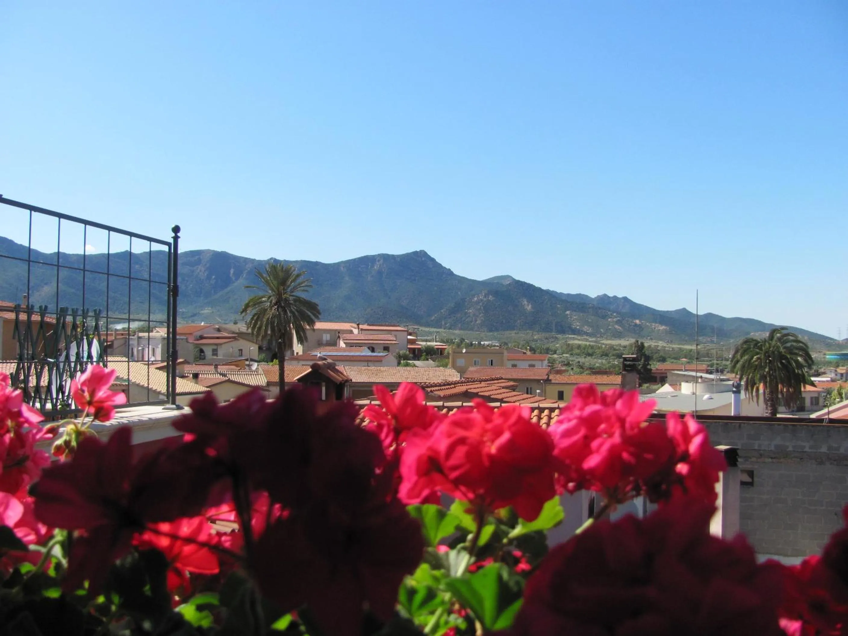 Mountain view in B&B Domu Mea