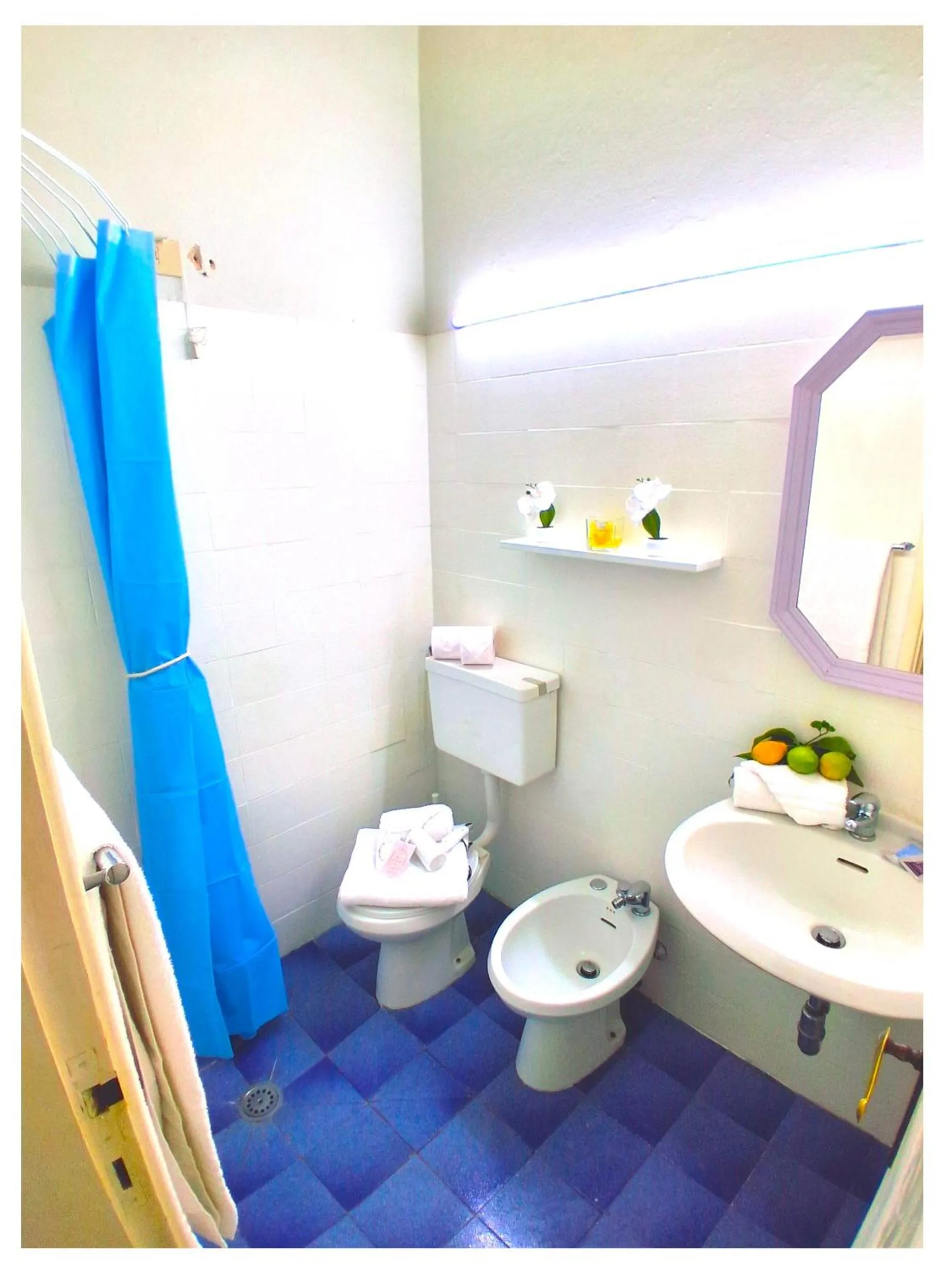 Toilet in Hotel Le Giare