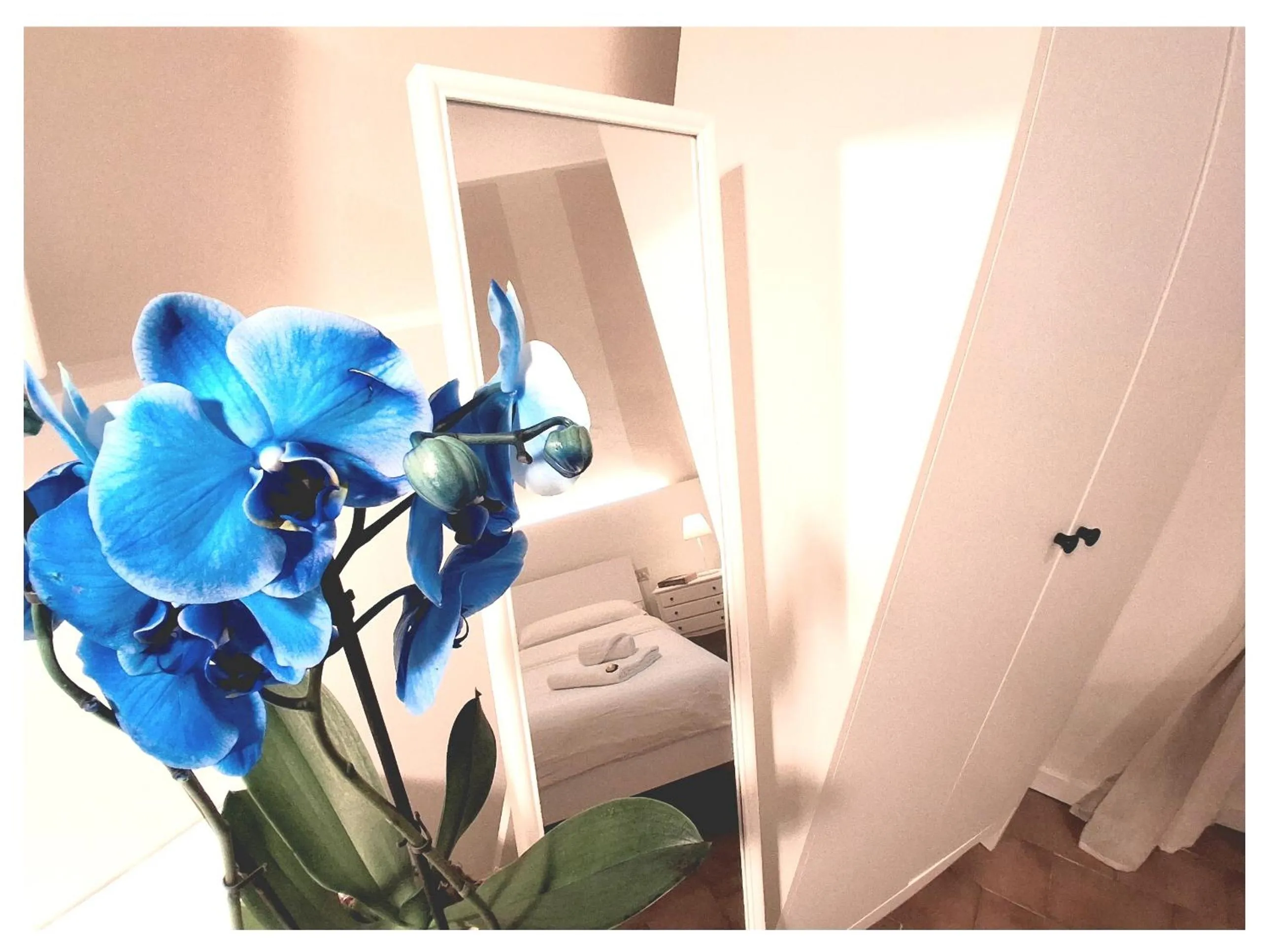 Bed in Hotel Le Giare