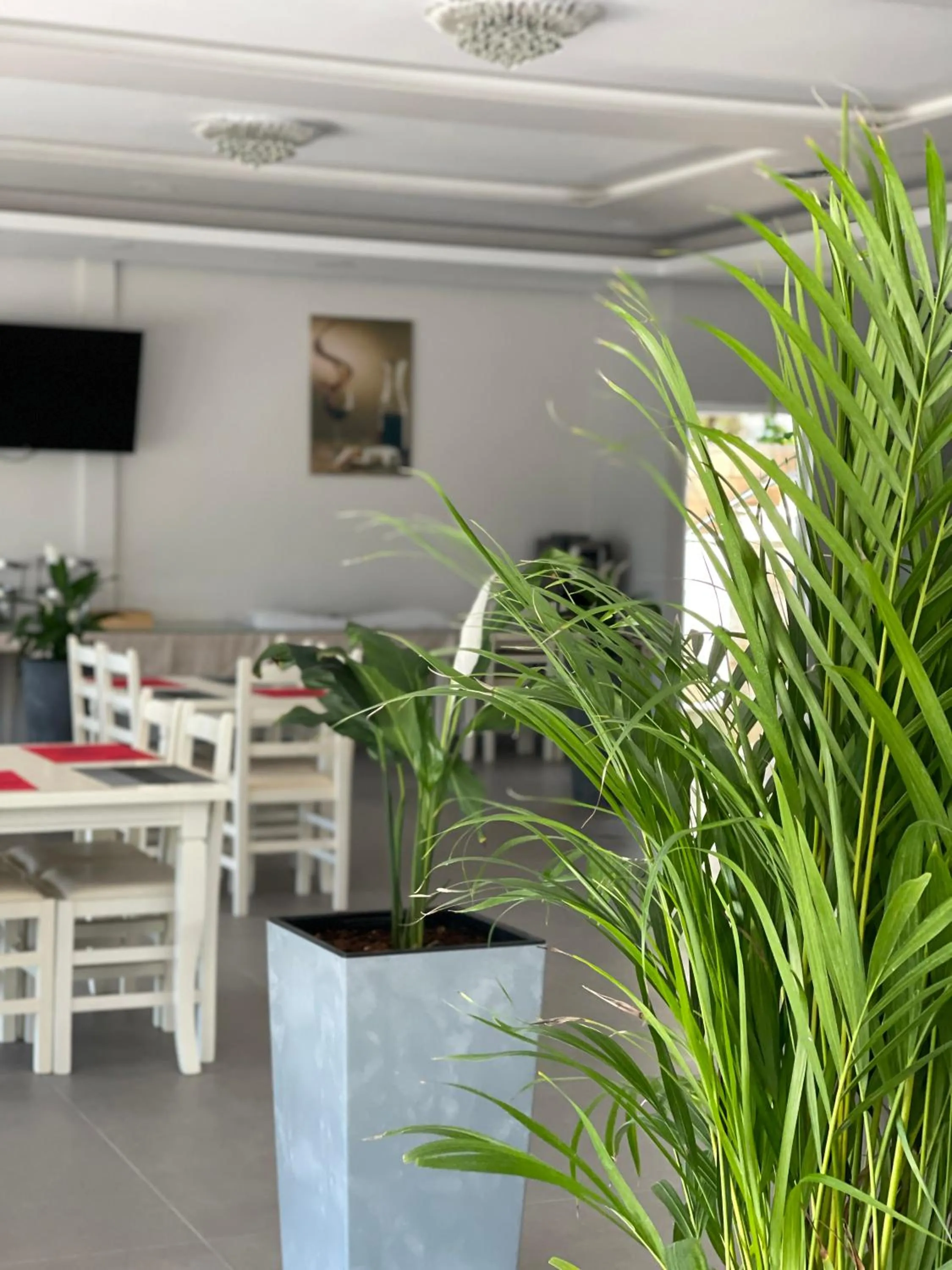 Restaurant/places to eat in Mucobega Hotel