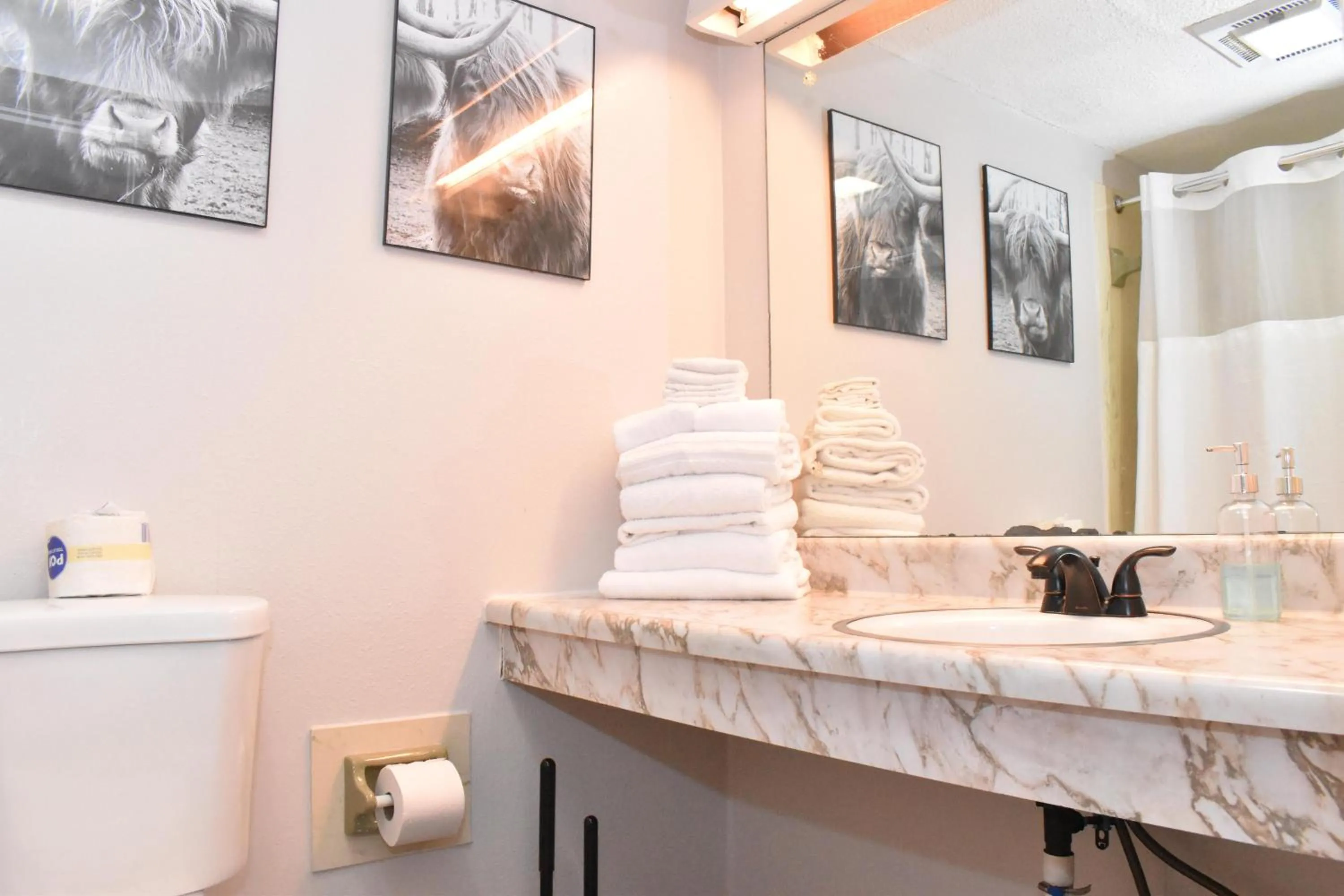 Bathroom in Timber Ridge Lodge Gatlinburg