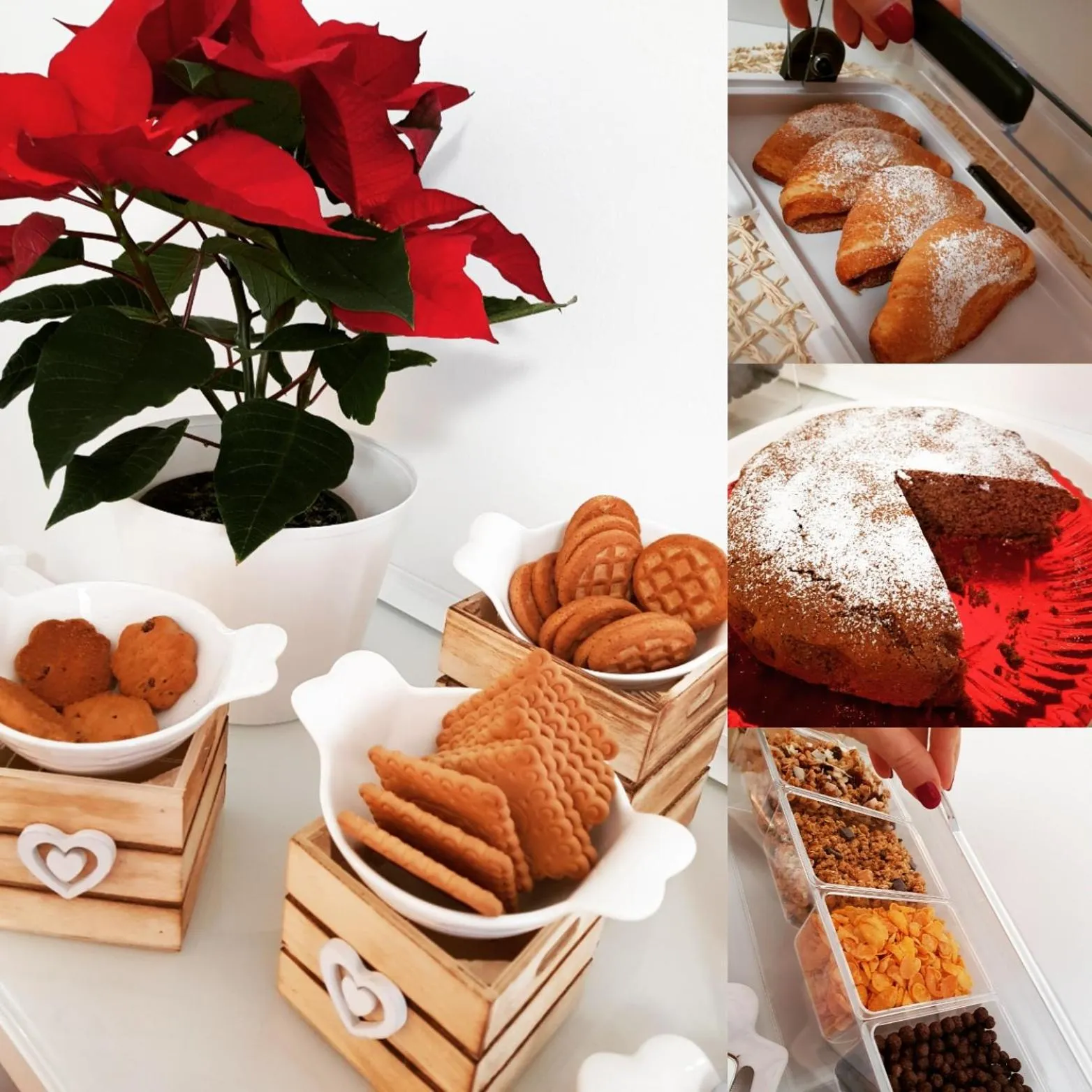 Food and drinks in Rose Antiche Vatican B&B