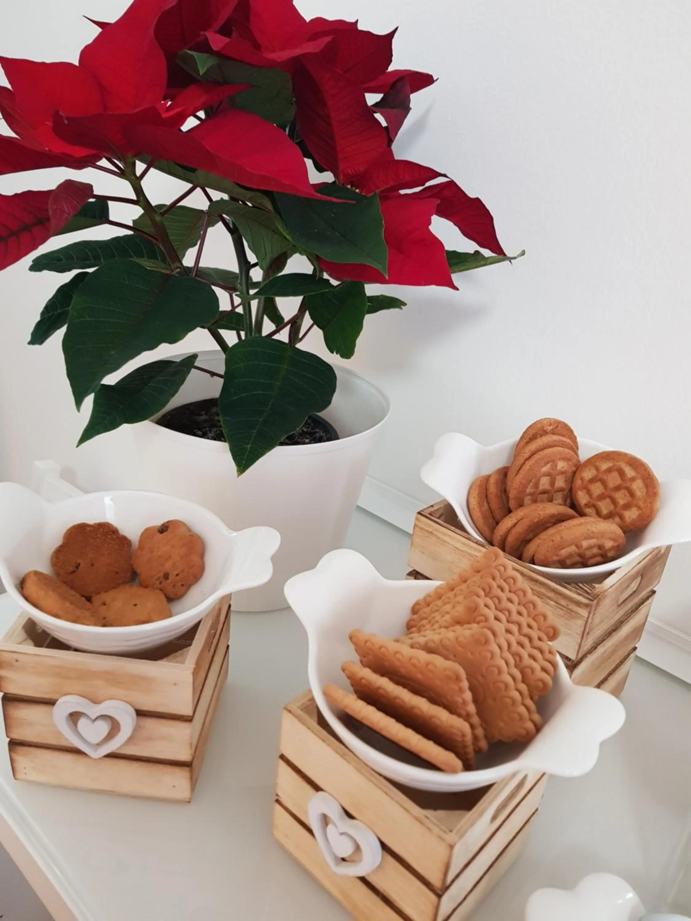 Food and drinks in Rose Antiche Vatican B&B