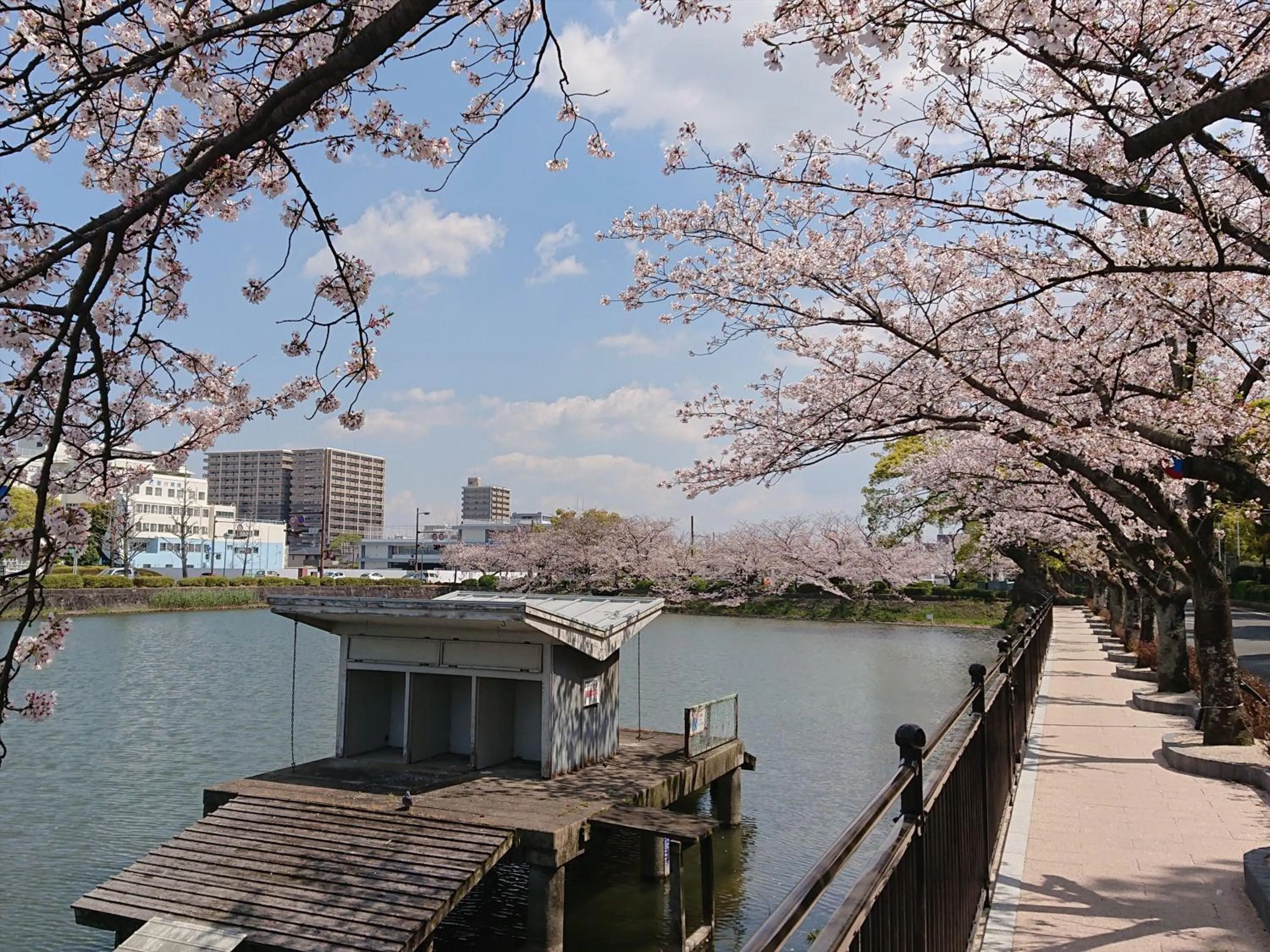 Spring in Hotel New Otani Saga