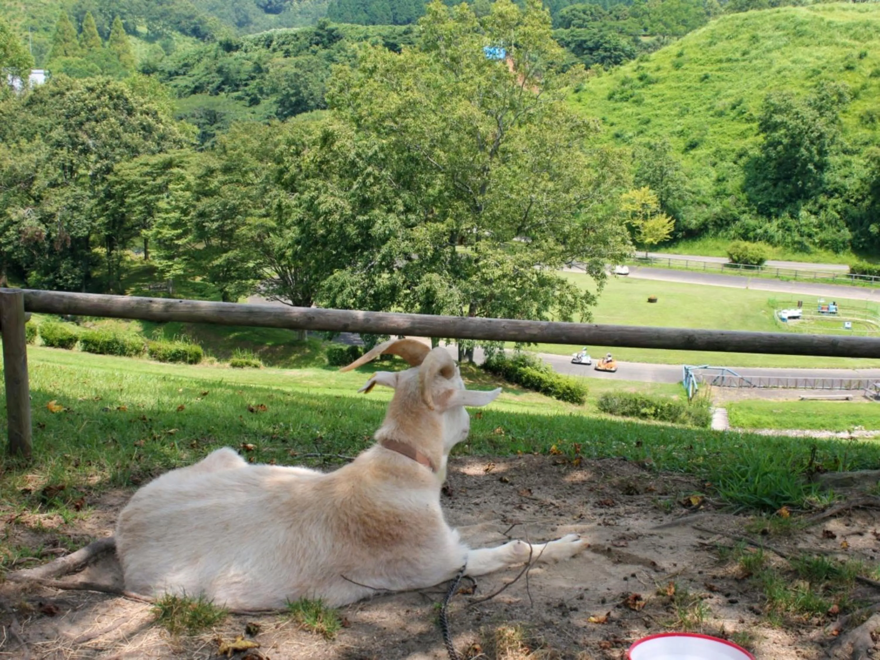 Nearby landmark in Hotel New Otani Saga
