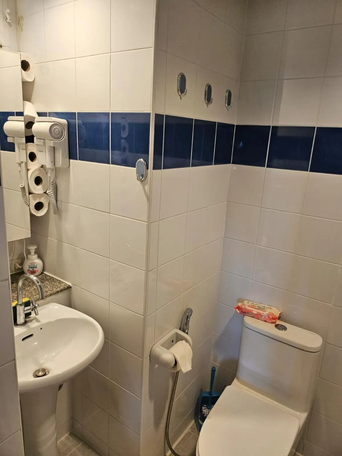 Shower in Villa Germania