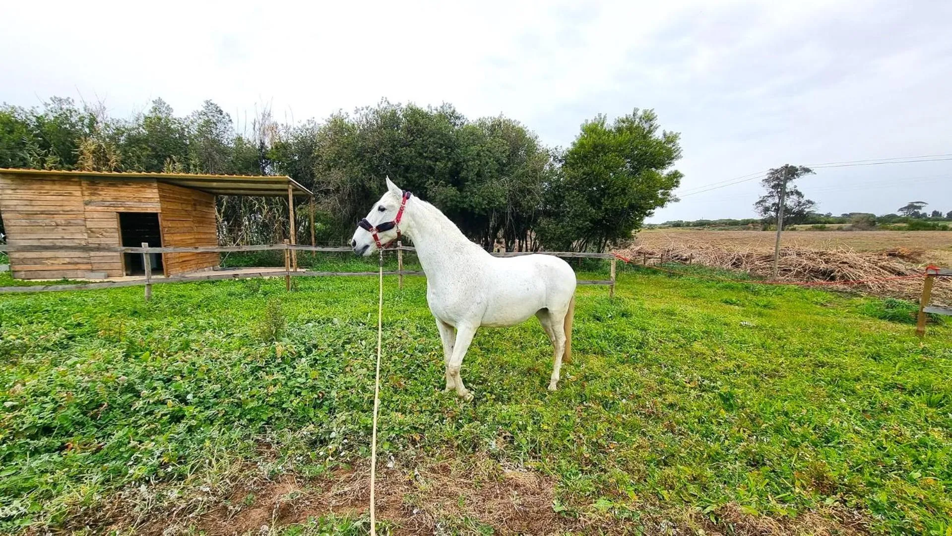 Activities in Herdade Moita Mar - Country & Sea