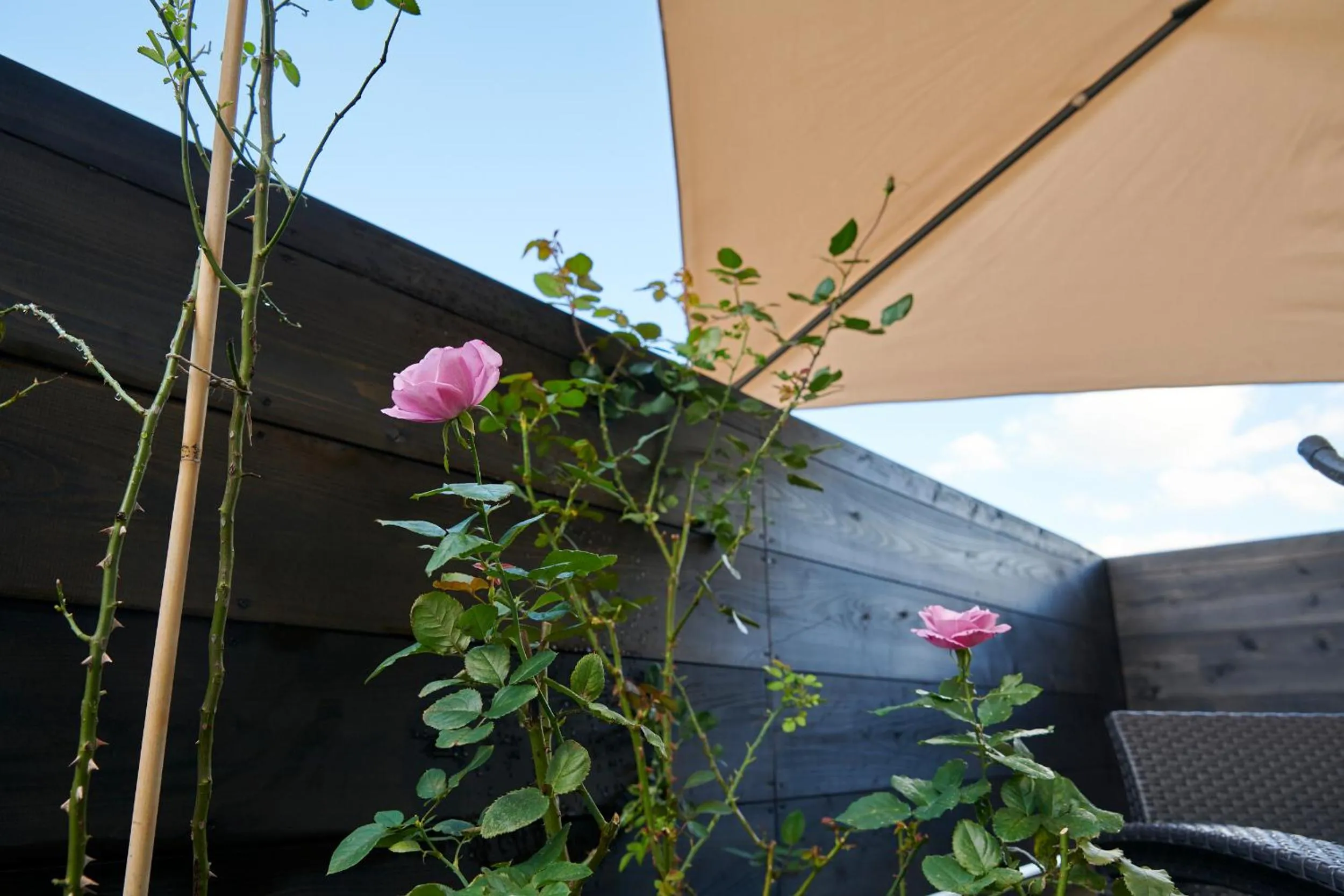 Balcony/Terrace in Hotel Tokyo Hub