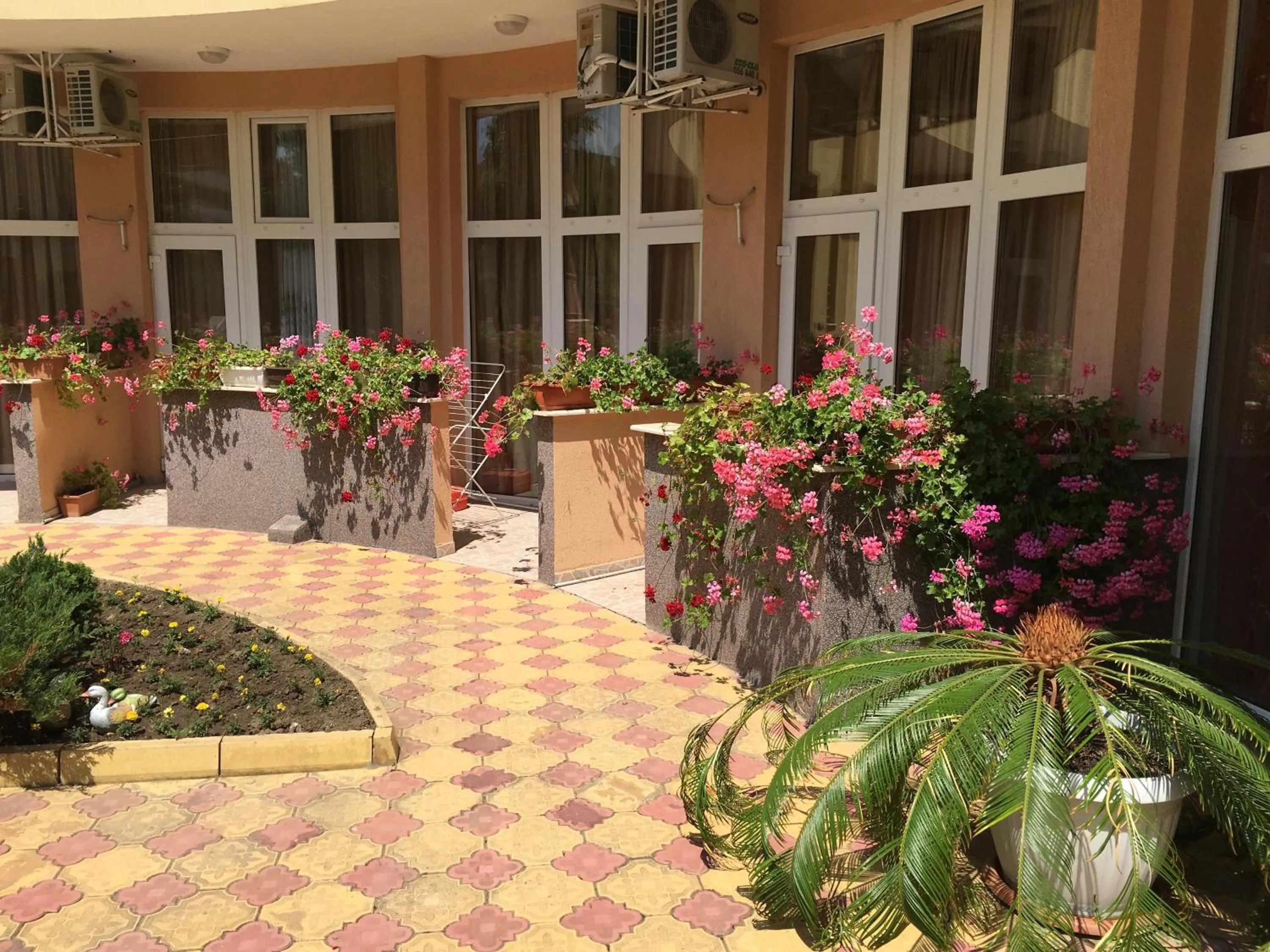 Swimming pool in Beatris Family House