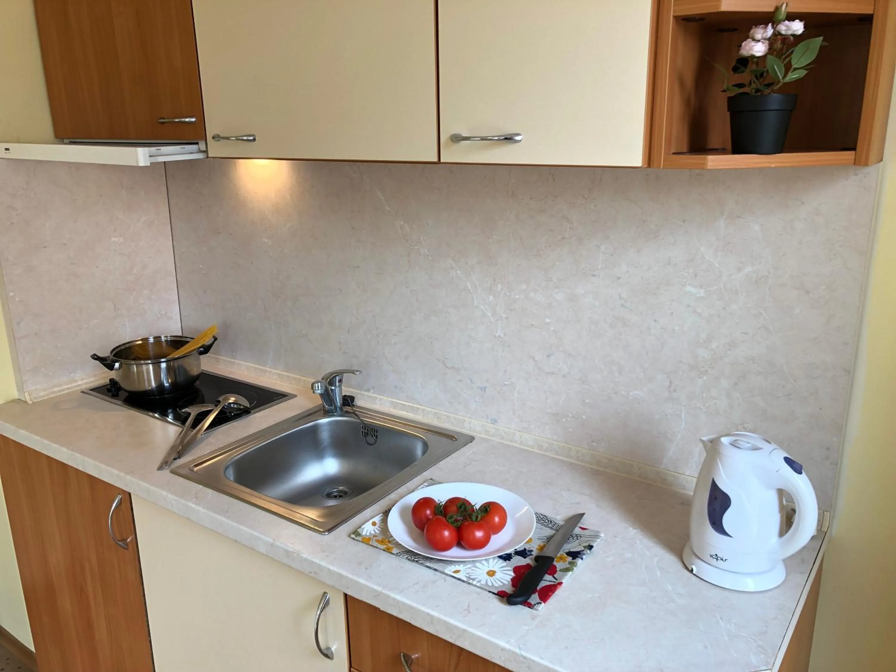 Kitchen or kitchenette in Beatris Family House