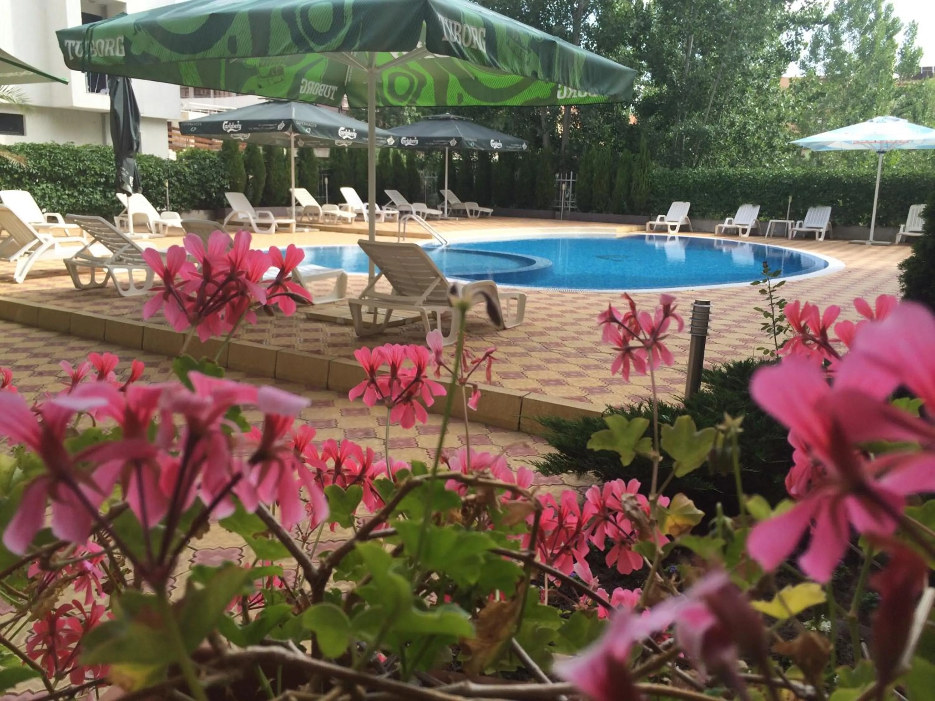 Pool view in Beatris Family House