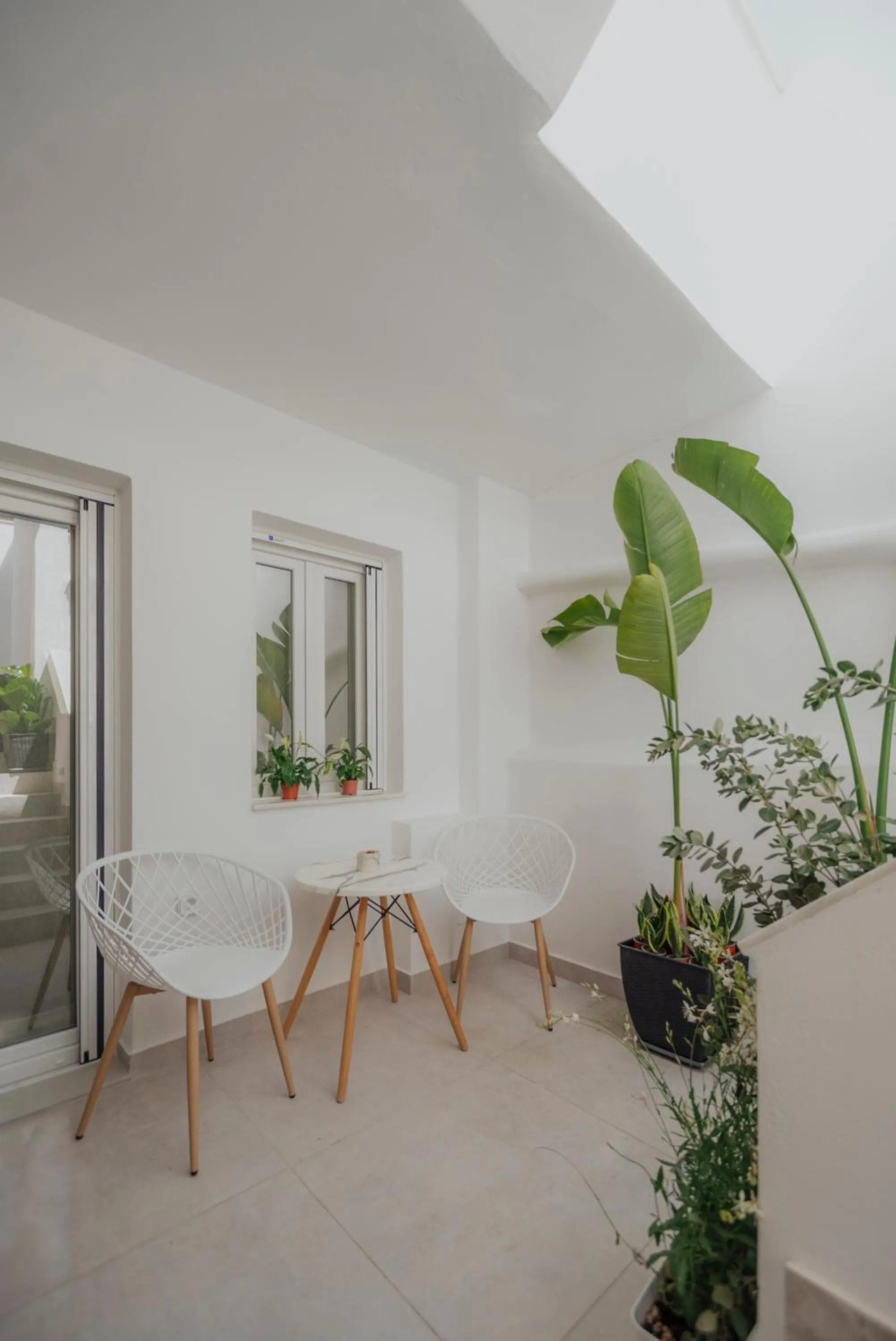 Balcony/Terrace in Golden Bird's