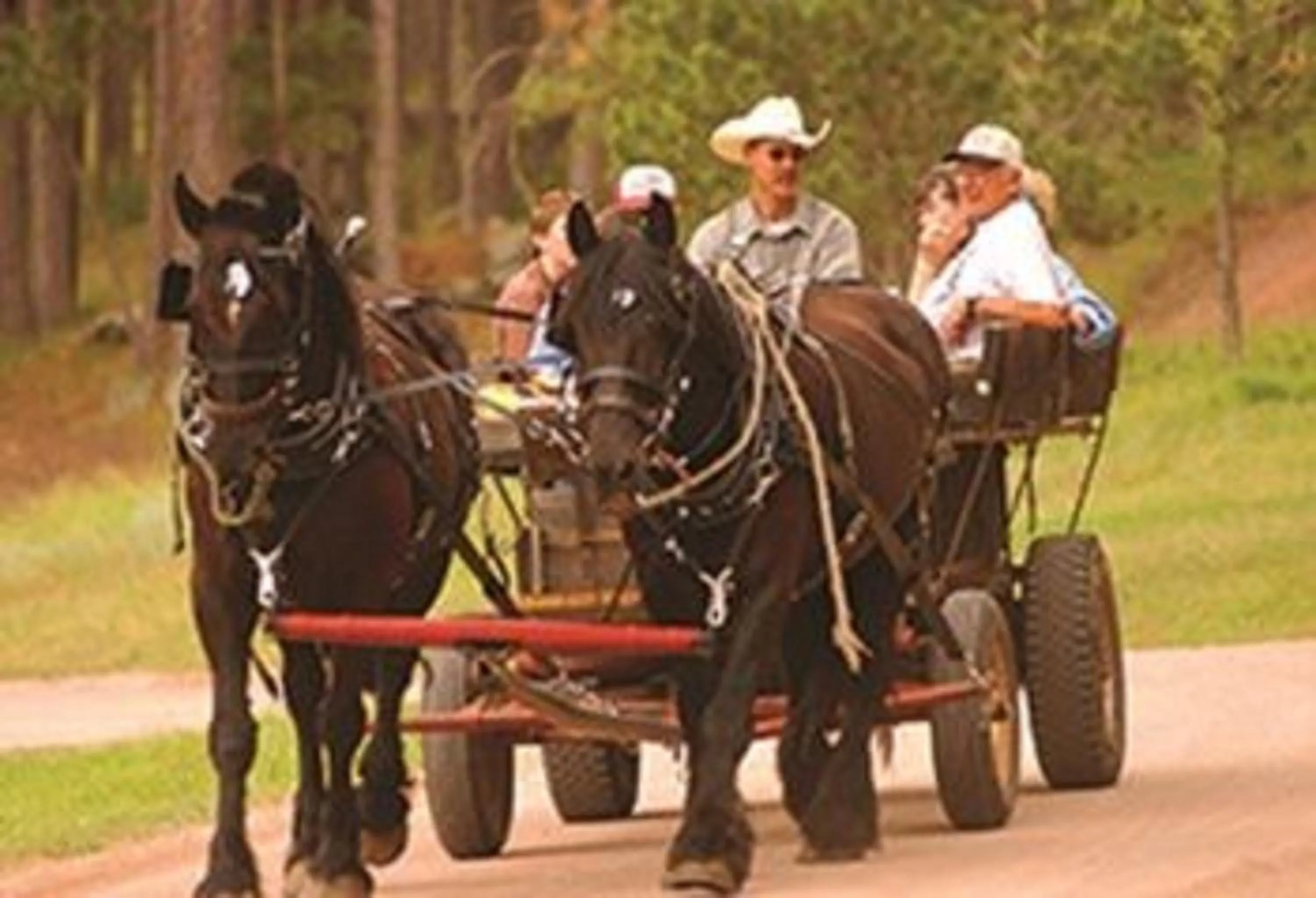 Activities in Lodge at Palmer Gulch