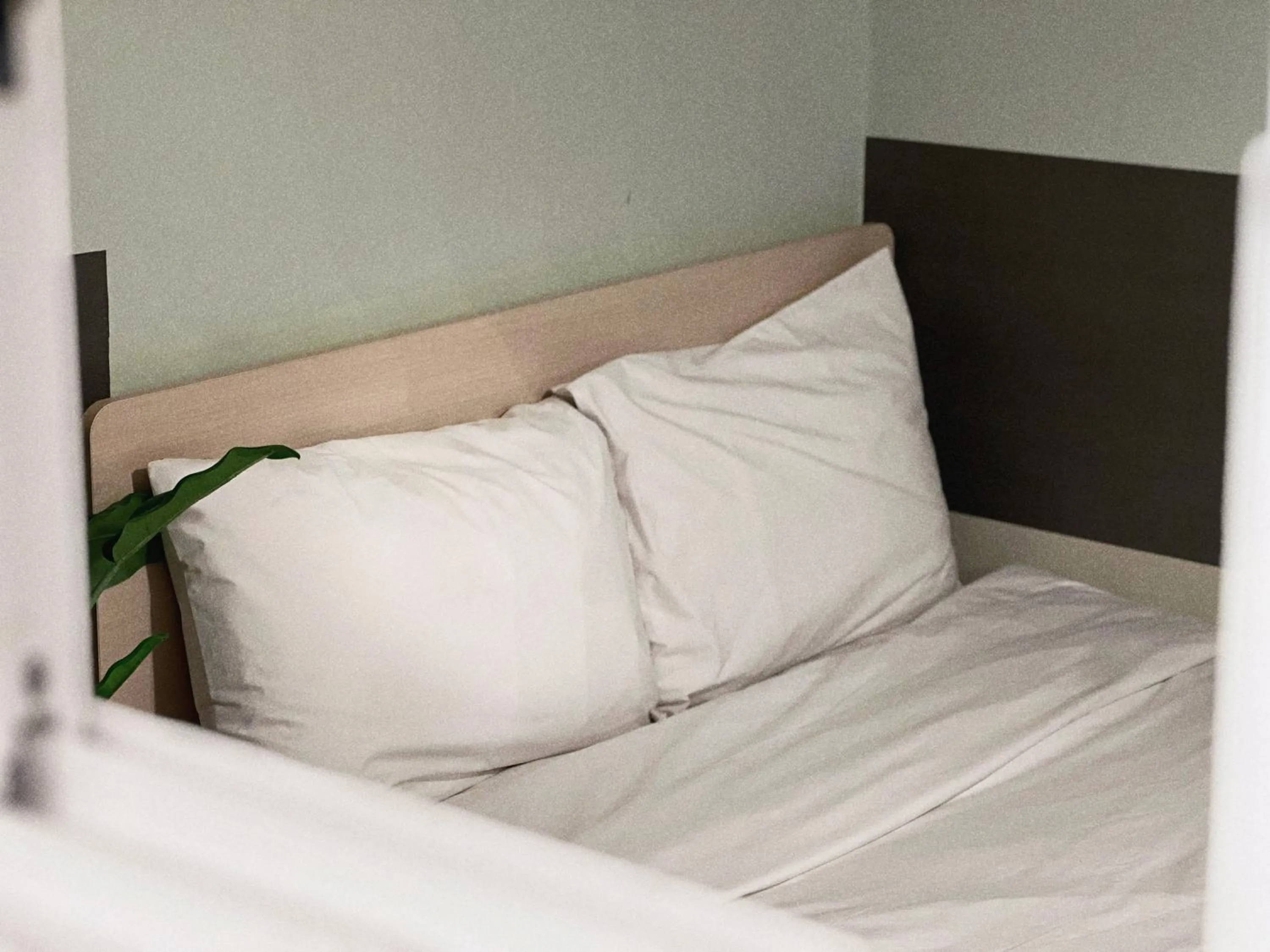 Bed in Jnineguesthouse