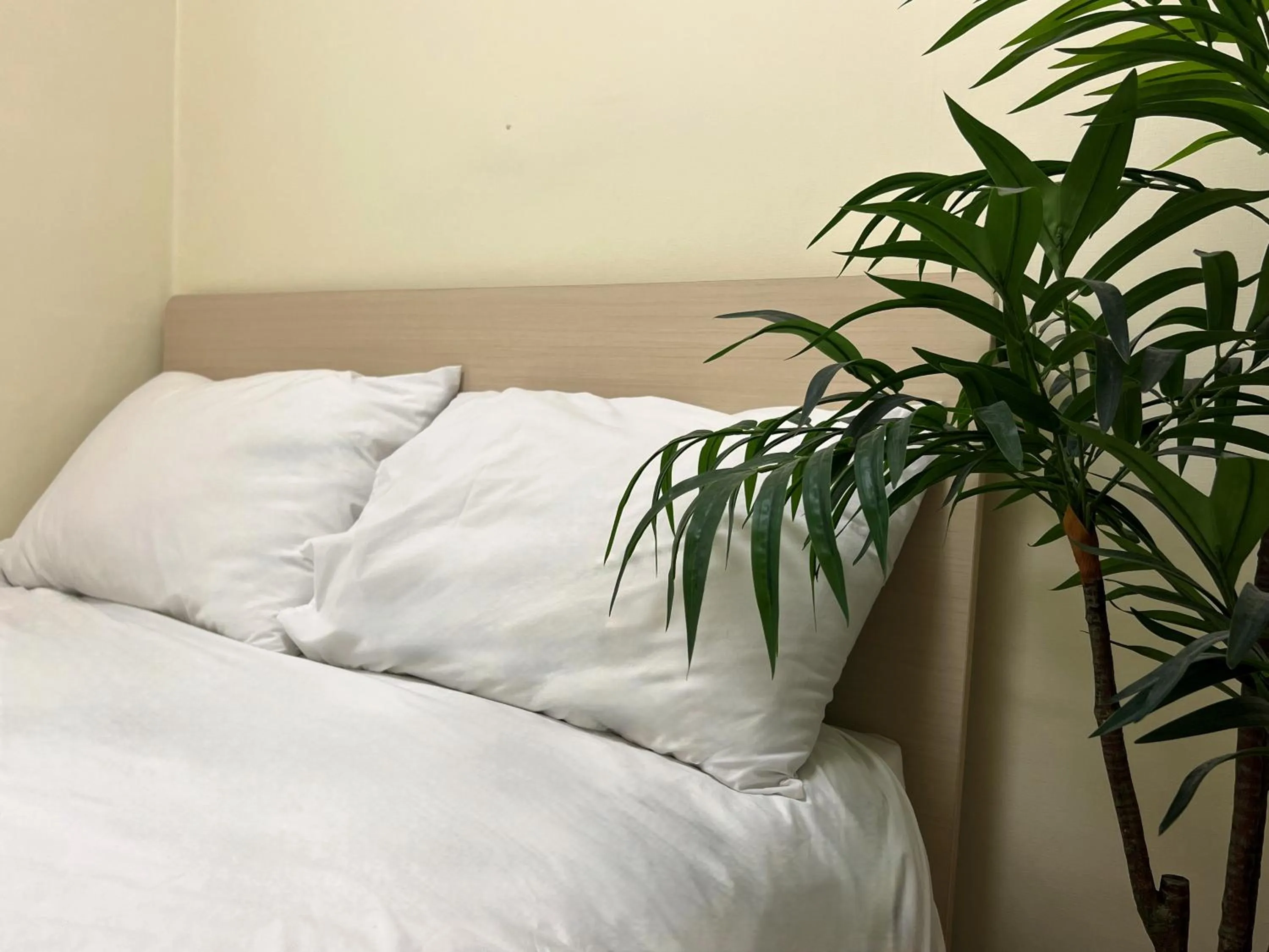 Bed in Jnineguesthouse