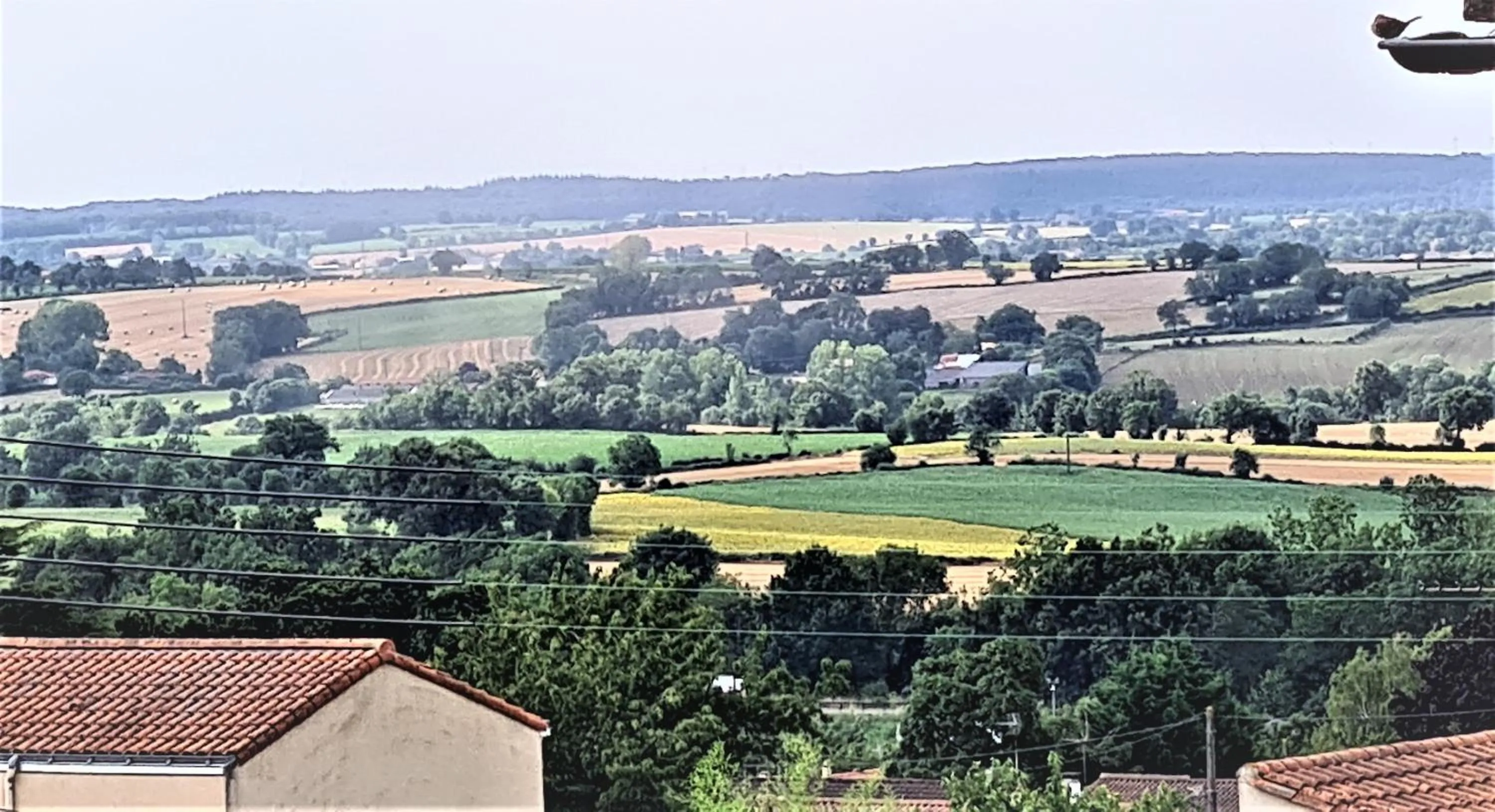 Natural landscape in Le 120 - Groupe Logis Hotels - Ex Auberge la Terrasse
