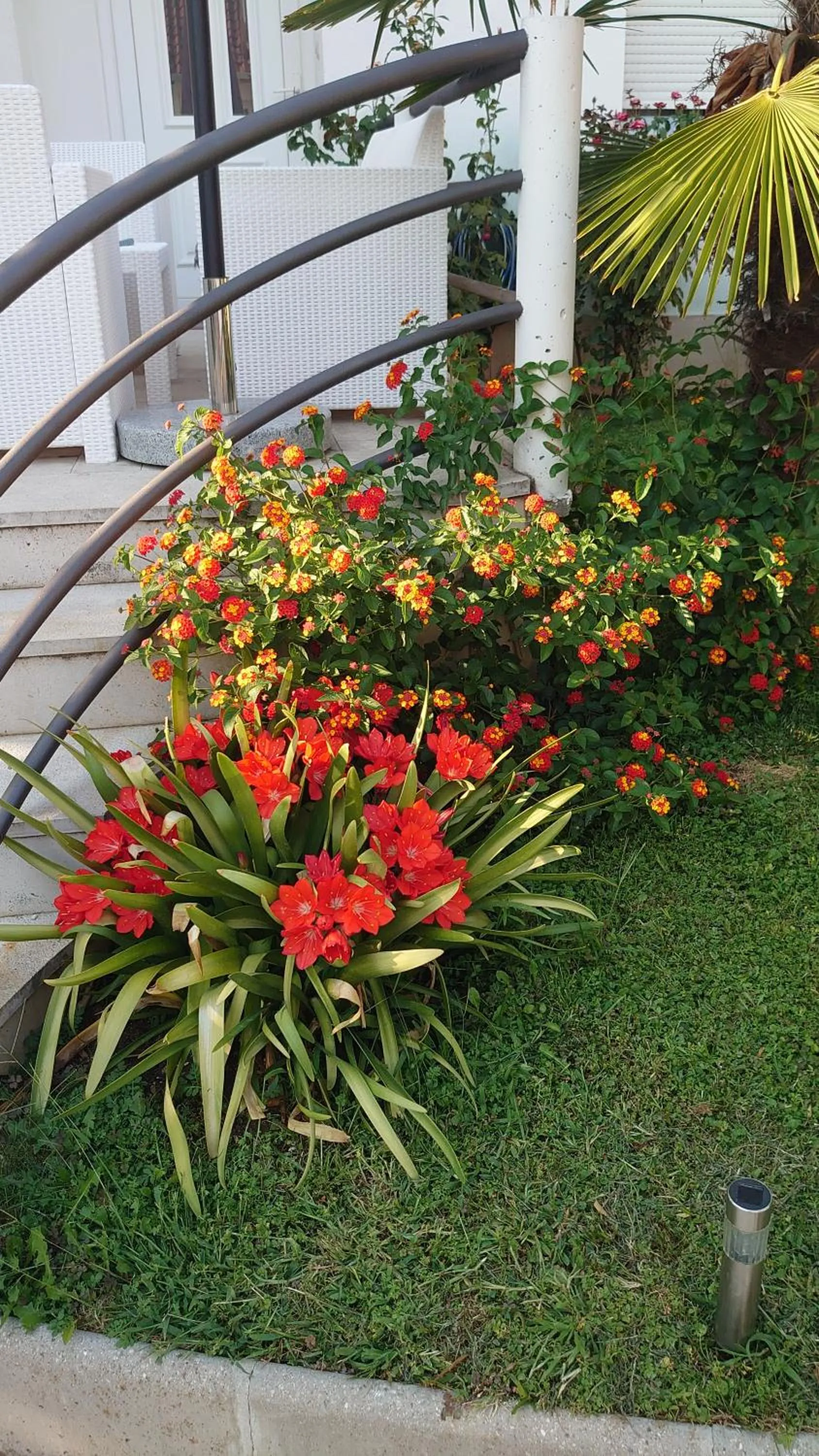 Garden in Apartments Tulipan - with free private parking garage