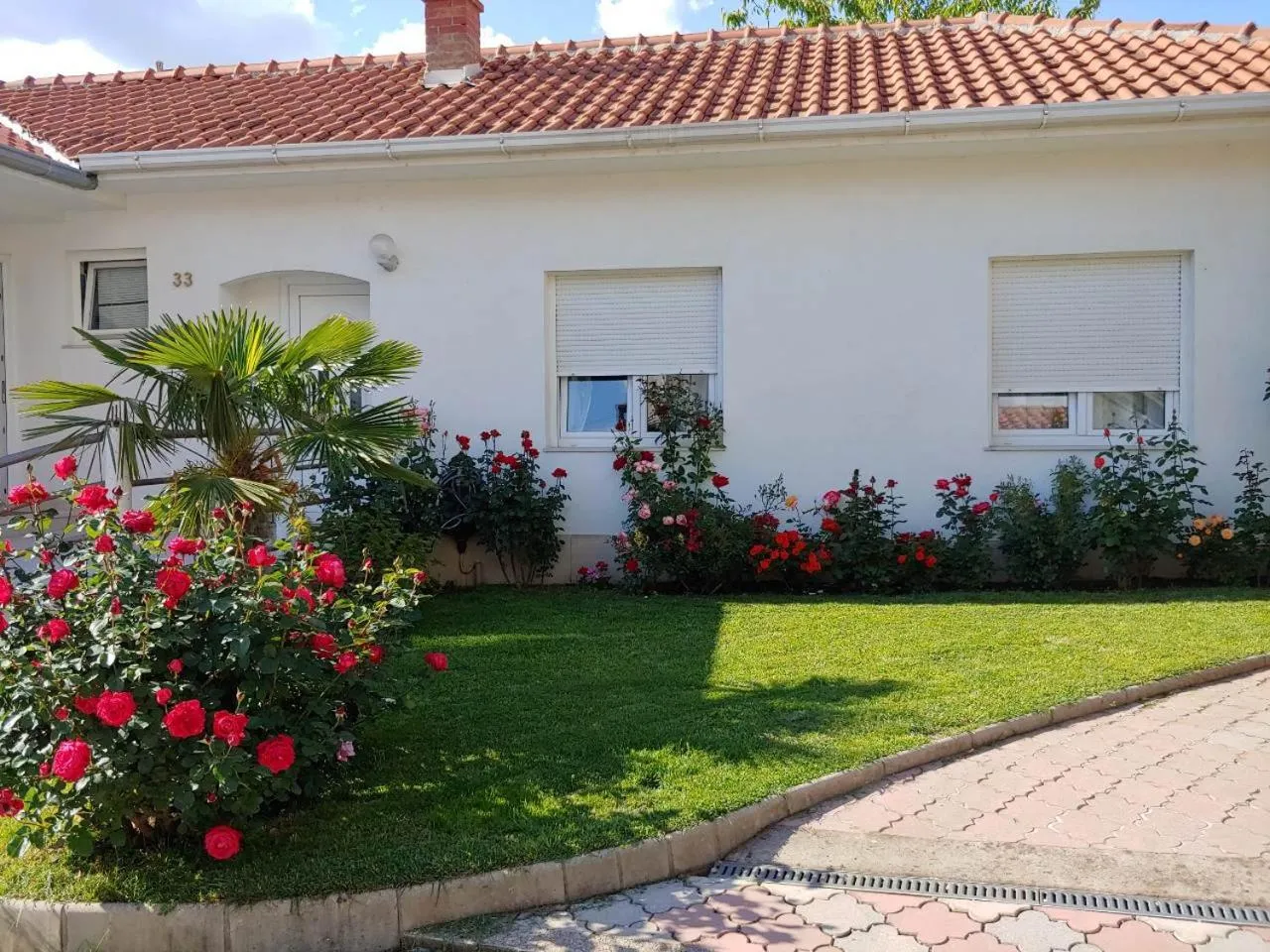 Garden in Apartments Tulipan - with free private parking garage