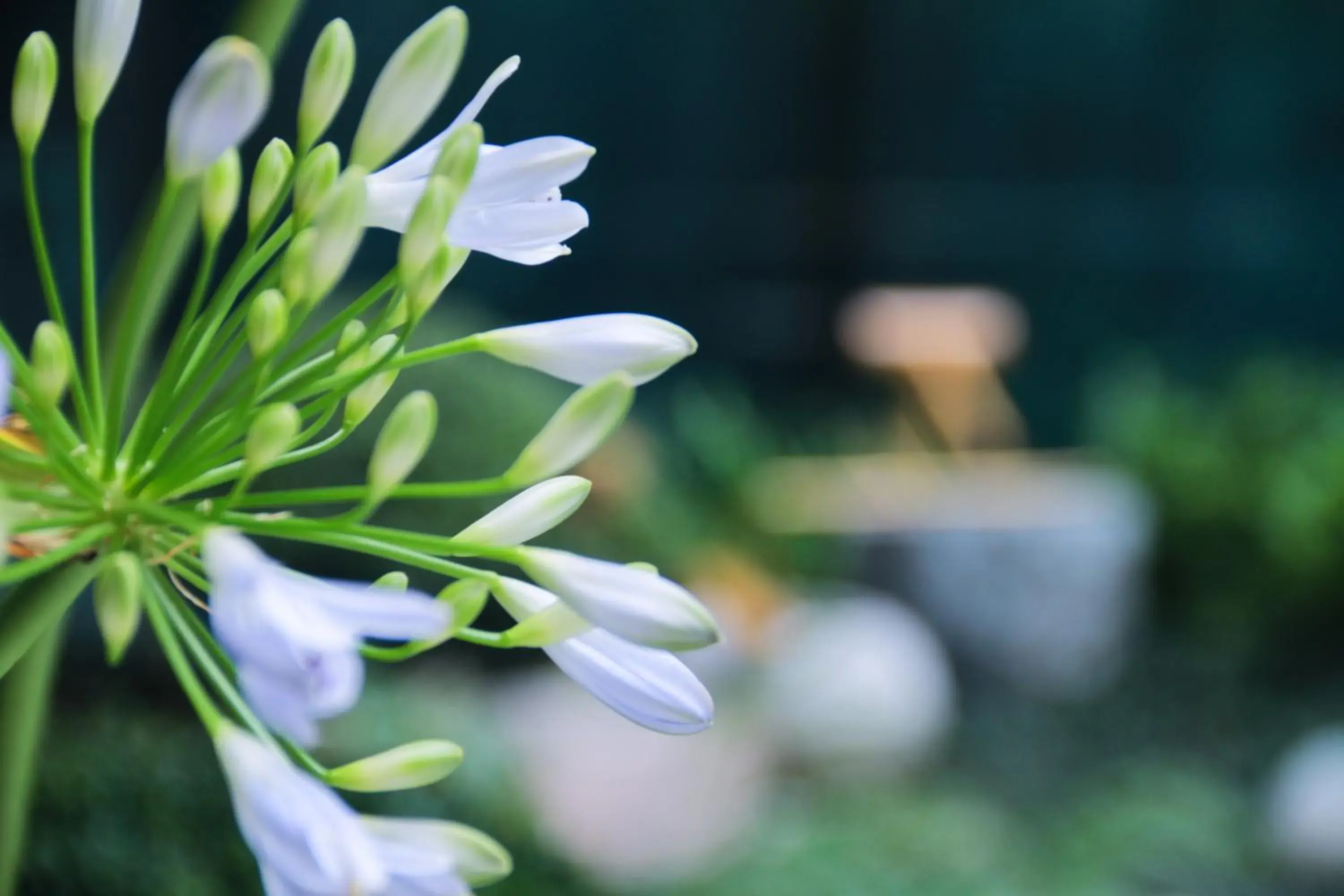 Property building in EVEN Hotels Shanghai Expo by IHG Property building in EVEN Hotels Shanghai Expo by IHG