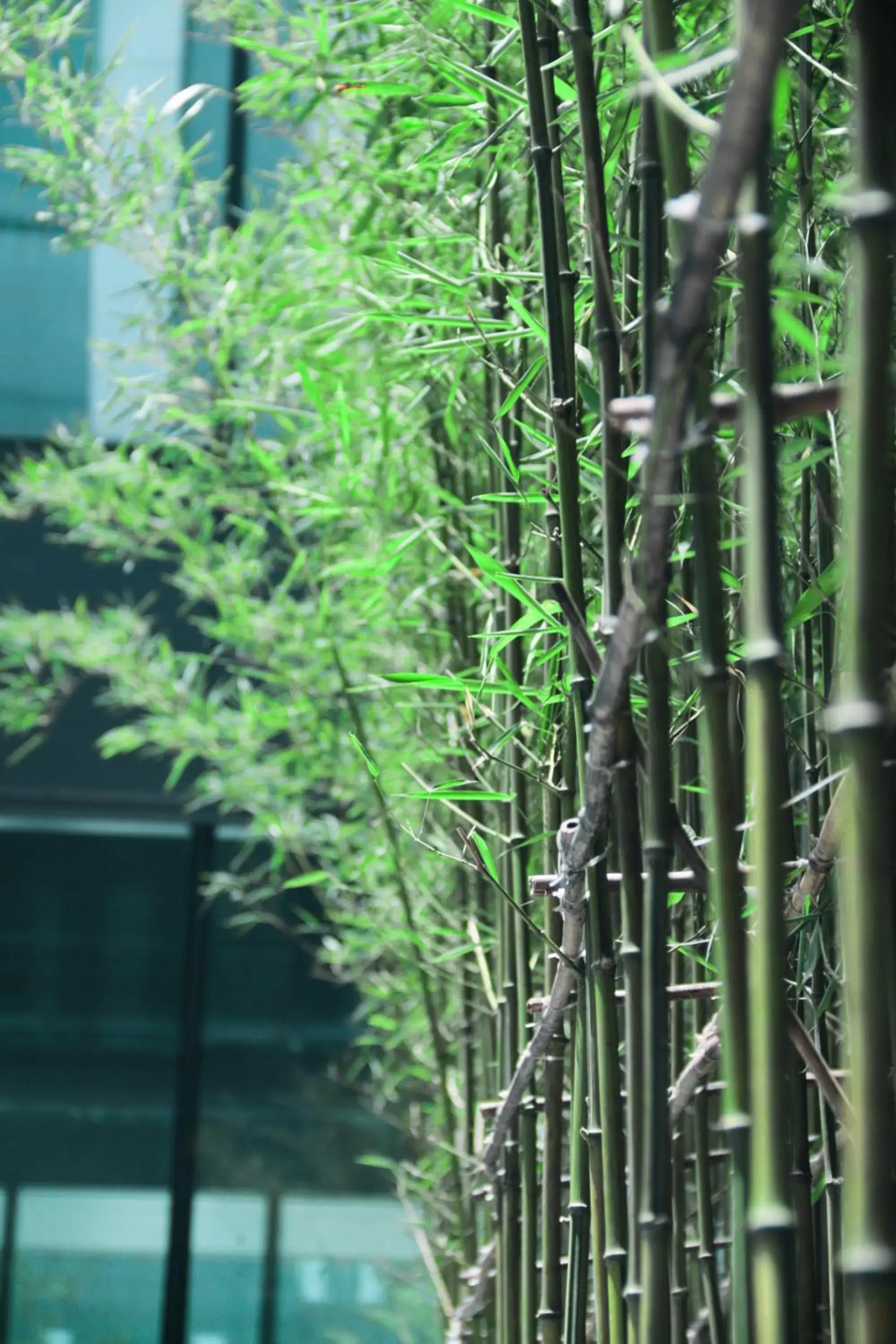 Property building in EVEN Hotels Shanghai Expo by IHG Property building in EVEN Hotels Shanghai Expo by IHG