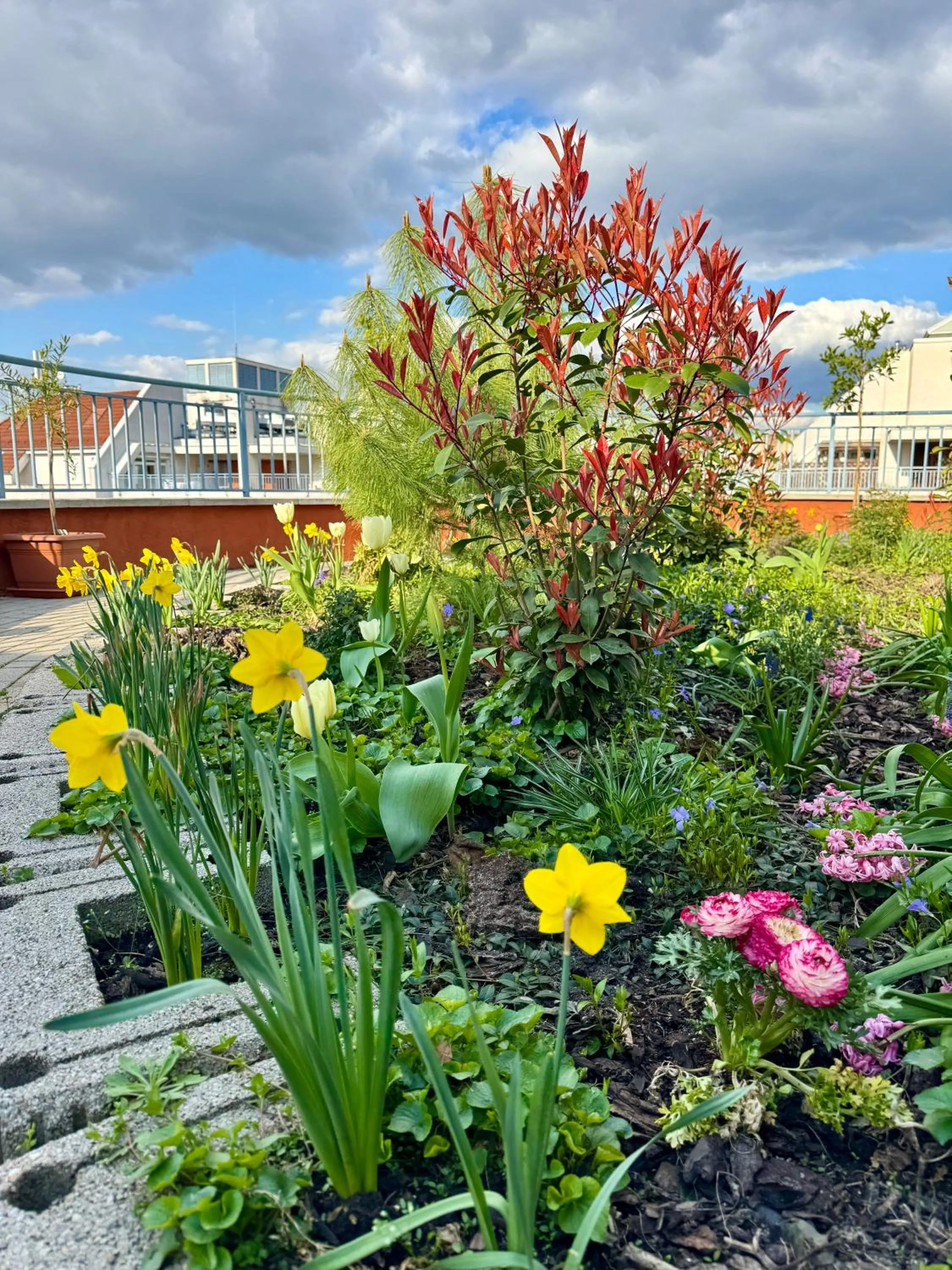 Spring in Rooftop City Residence