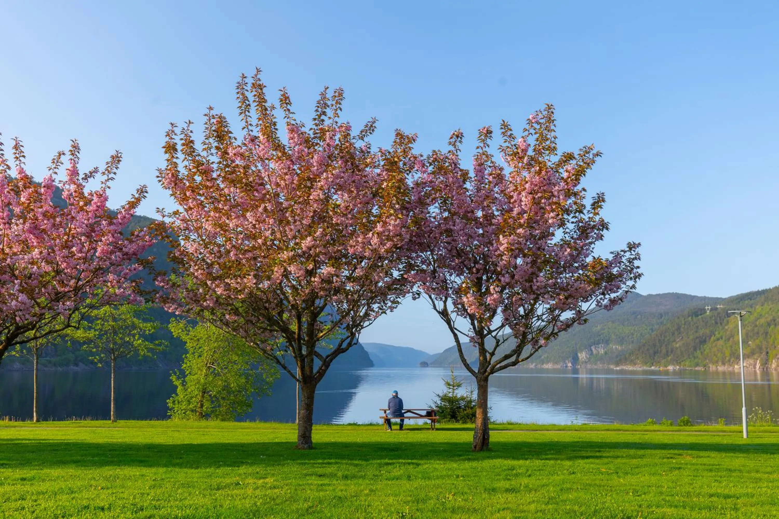 Lake view in Sirdalsvatnet Hotel in Sirdal