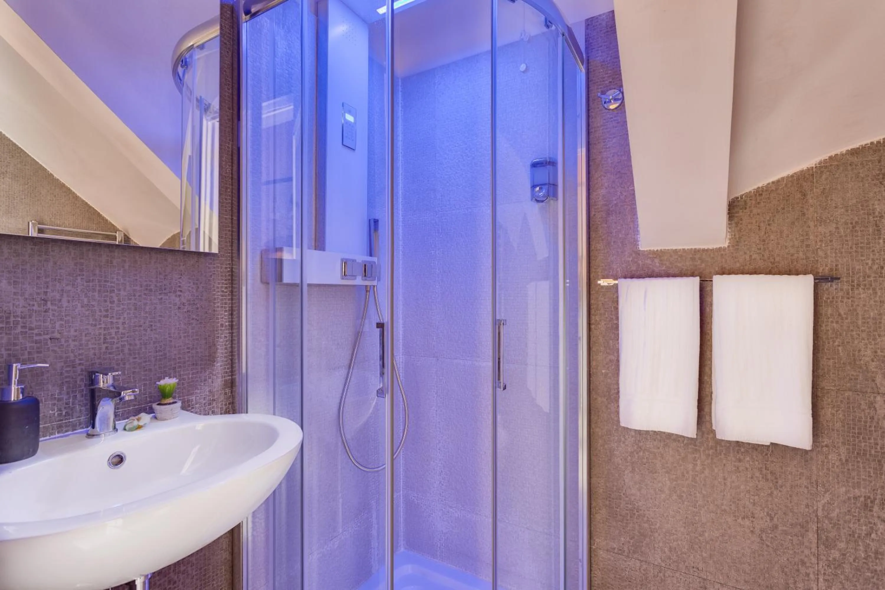 Shower in Excellence Suite