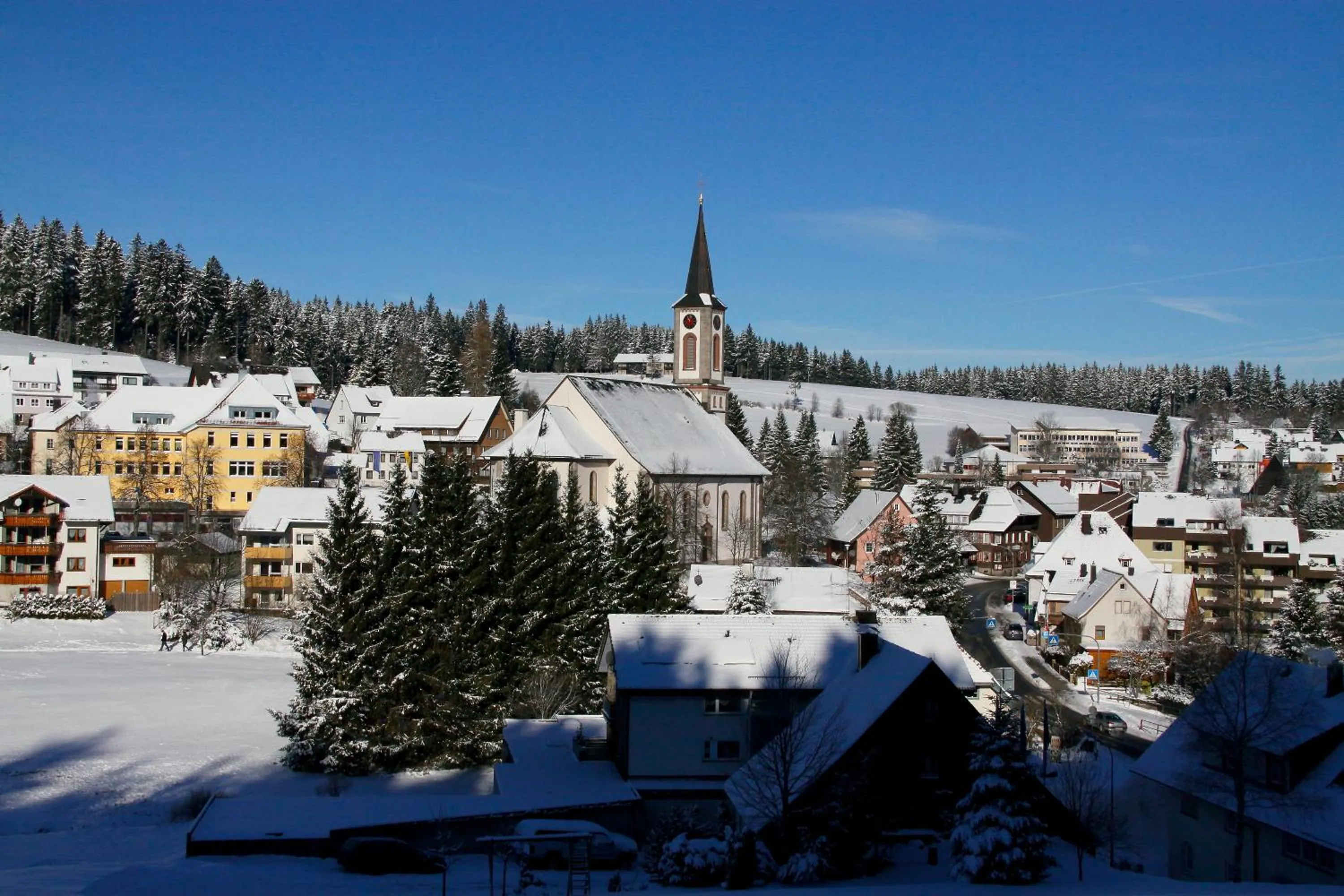 Natural landscape in Landhotel Garni Schweizerhaus