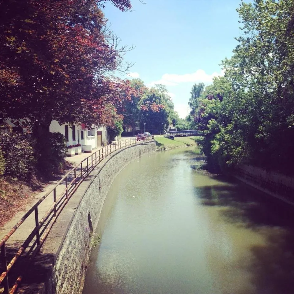 Bird's eye view in Hotel am Marktplatz