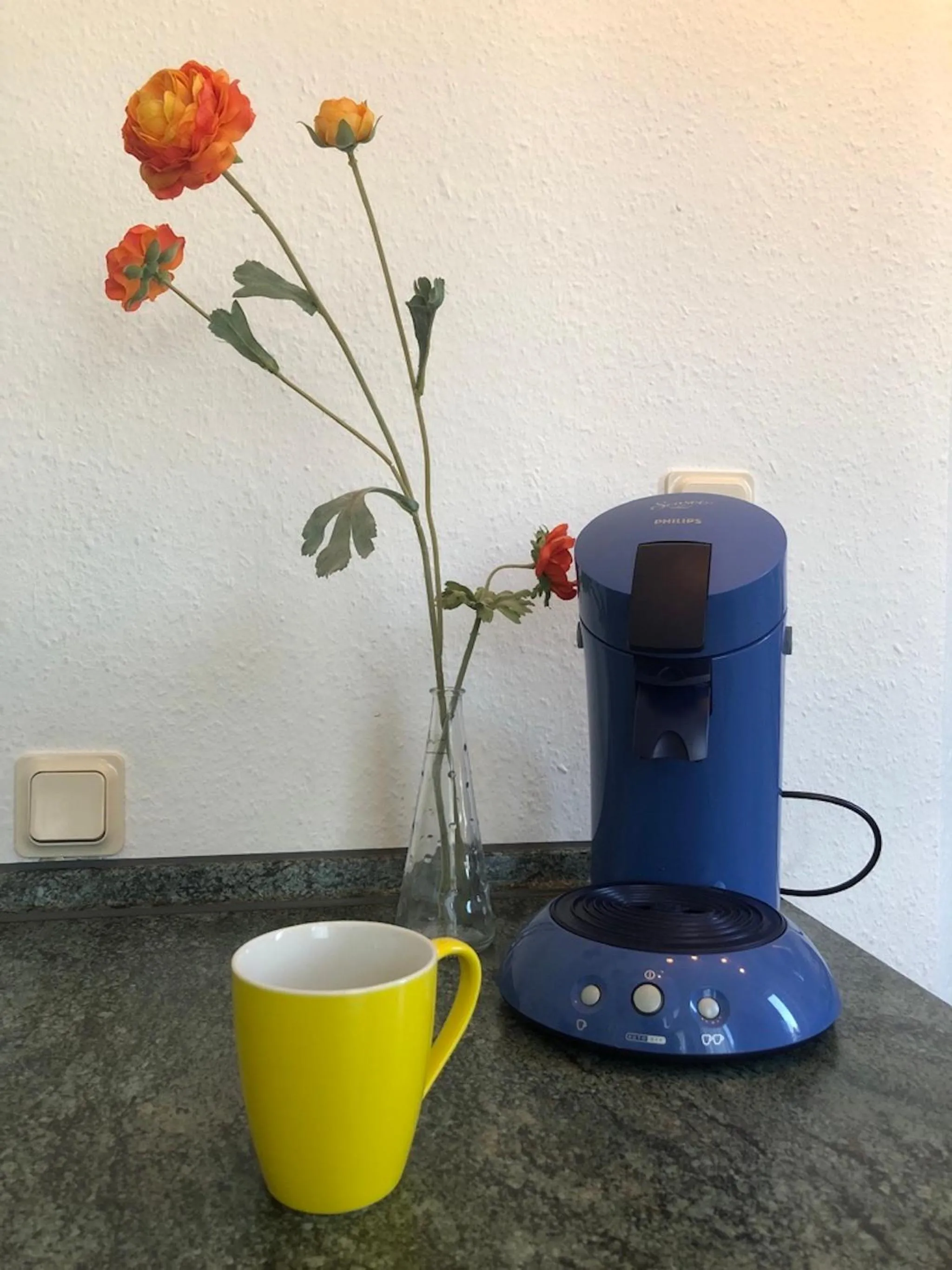 Coffee/tea facilities in Apartmenthaus Somborn