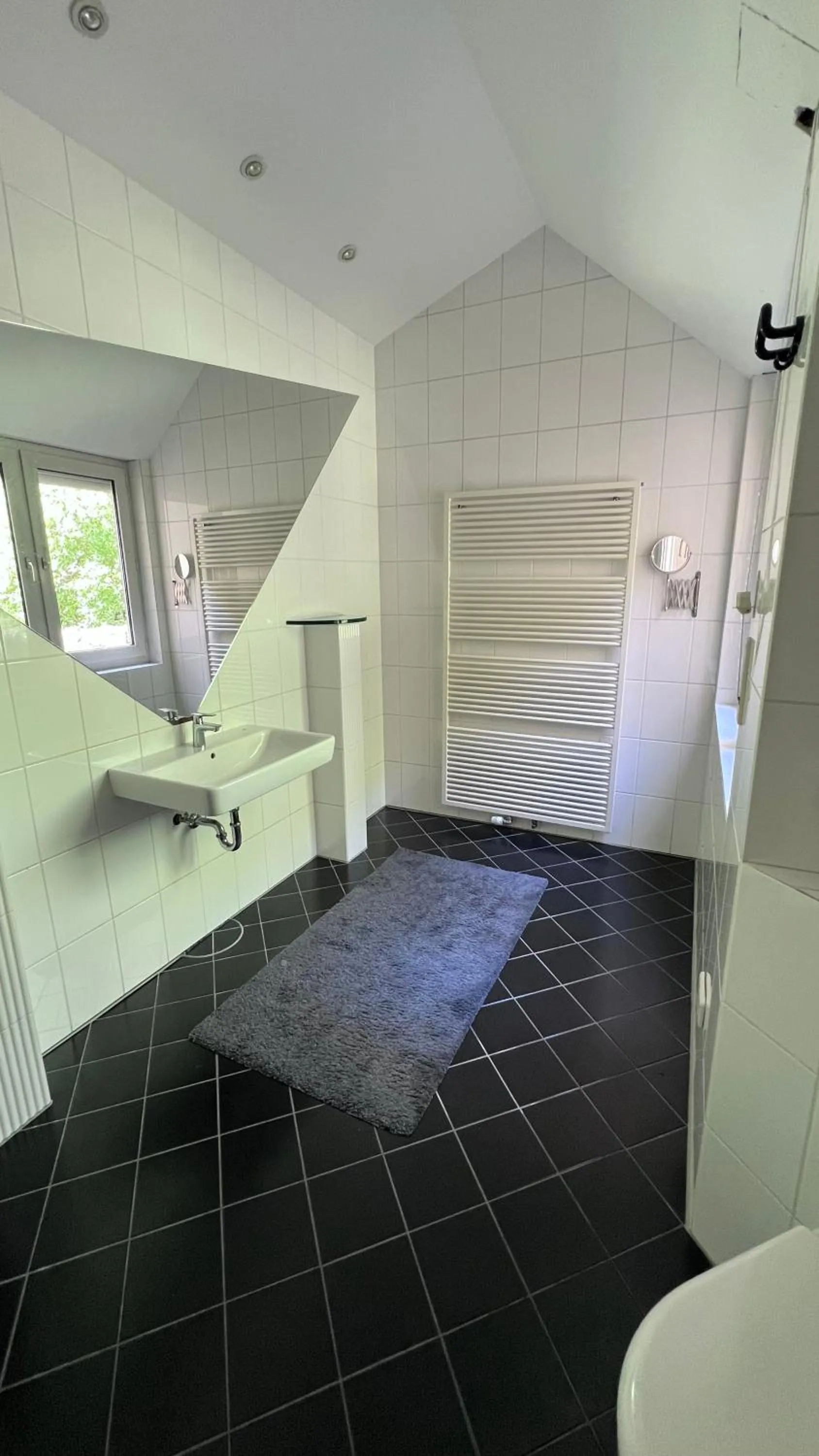 Shower in Apartmenthaus Somborn
