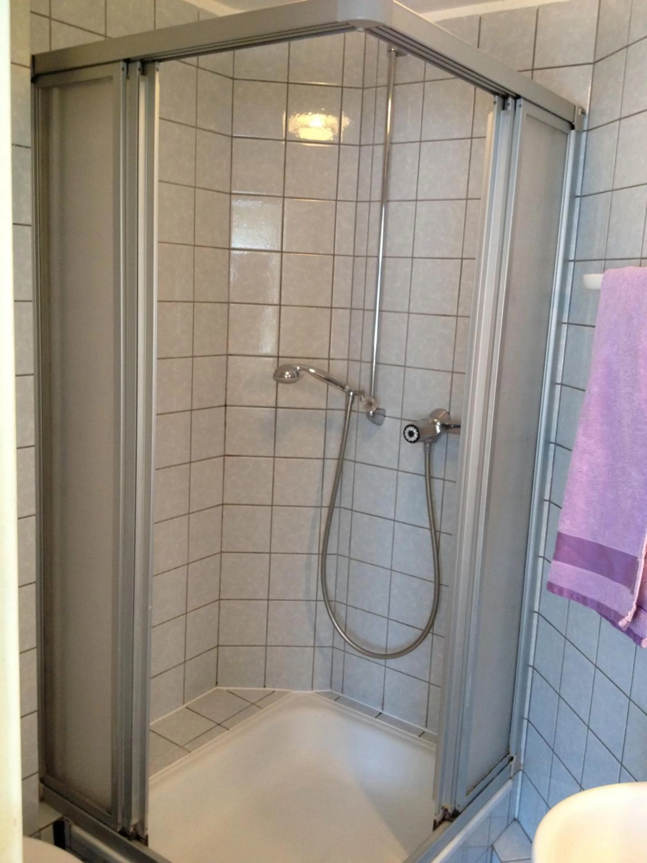 Shower in Apartmenthaus Somborn