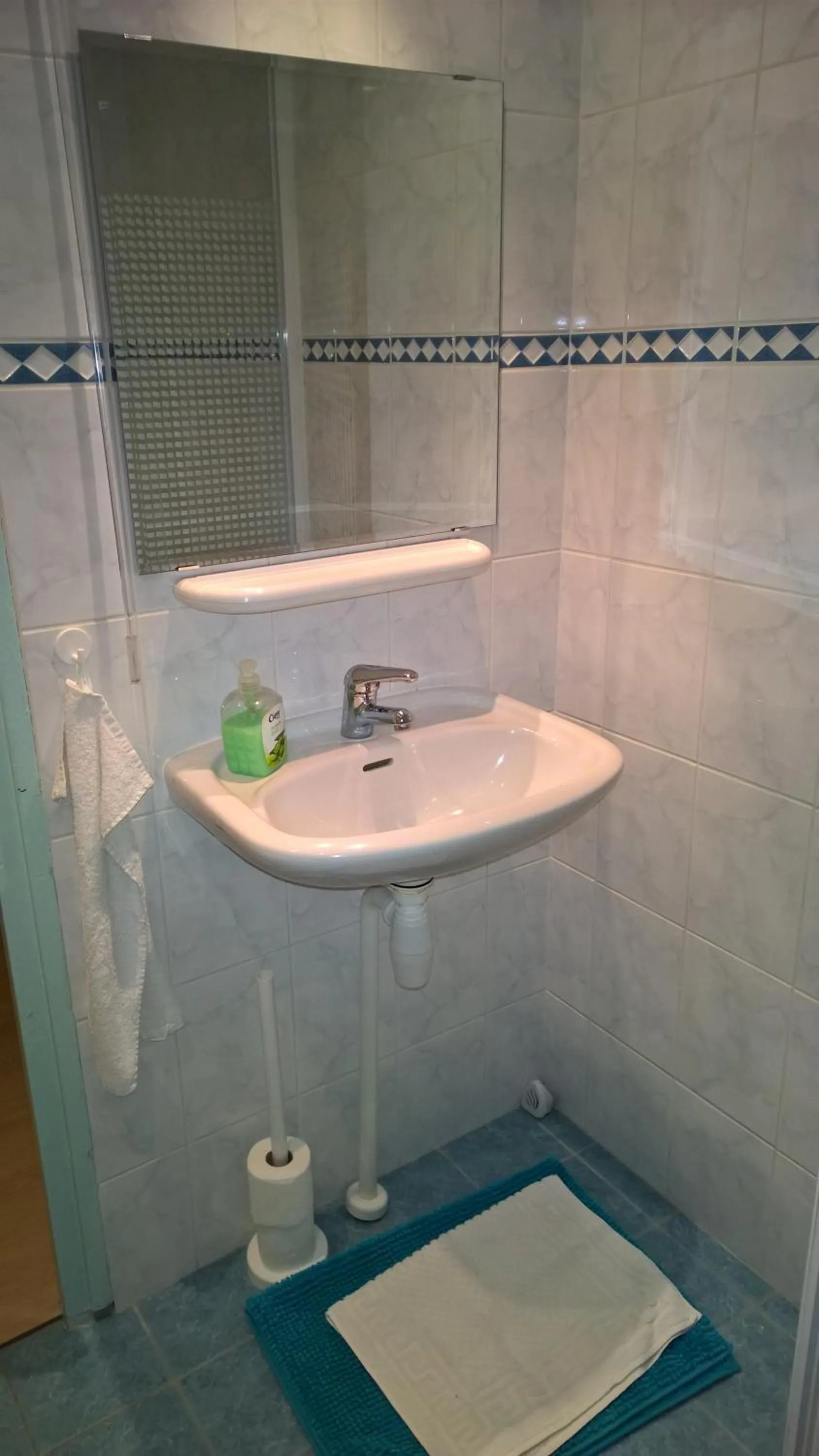 Bathroom in Bed and Breakfast Amsterdam Holy Dove