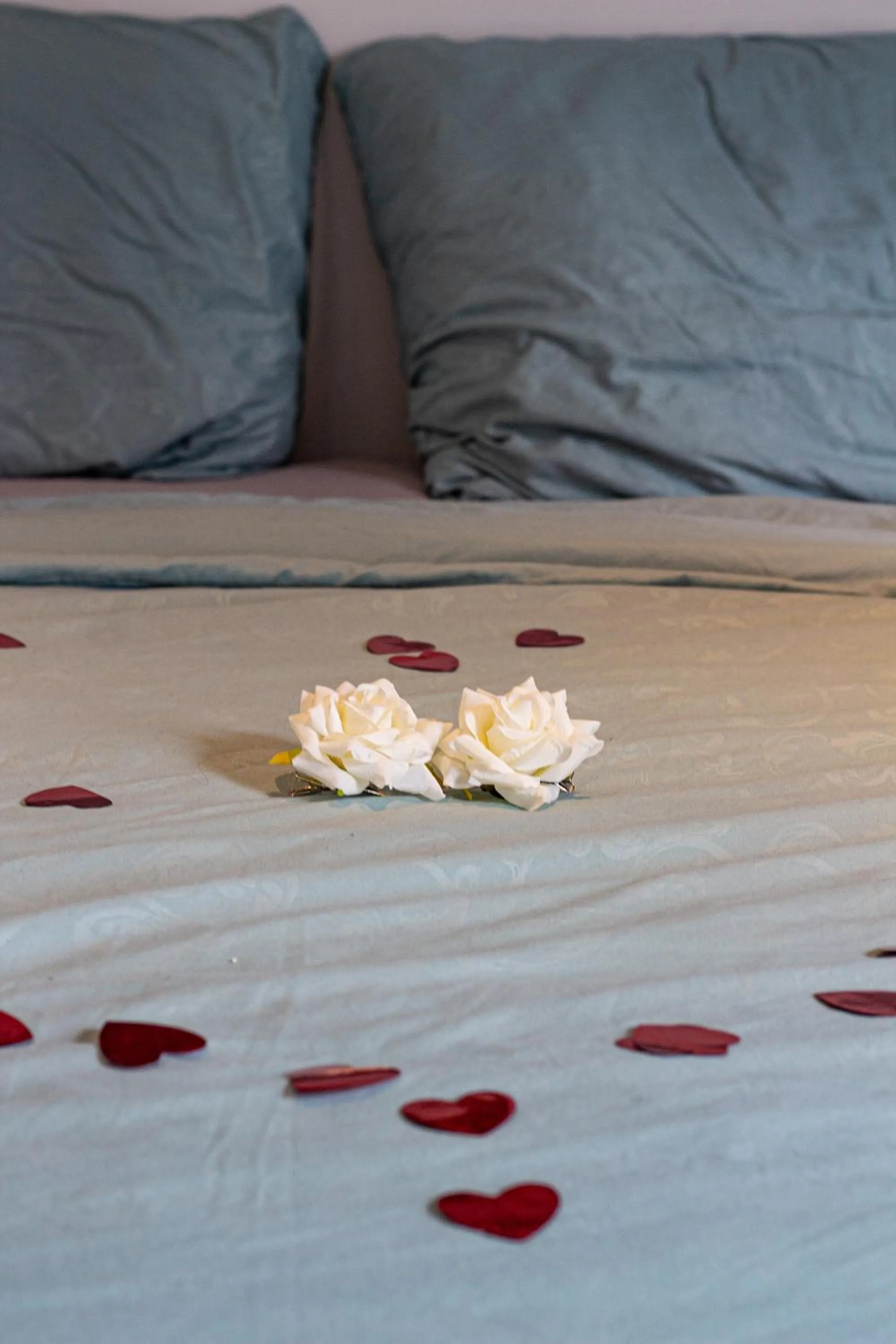Bed in Bed and Breakfast Amsterdam Holy Dove