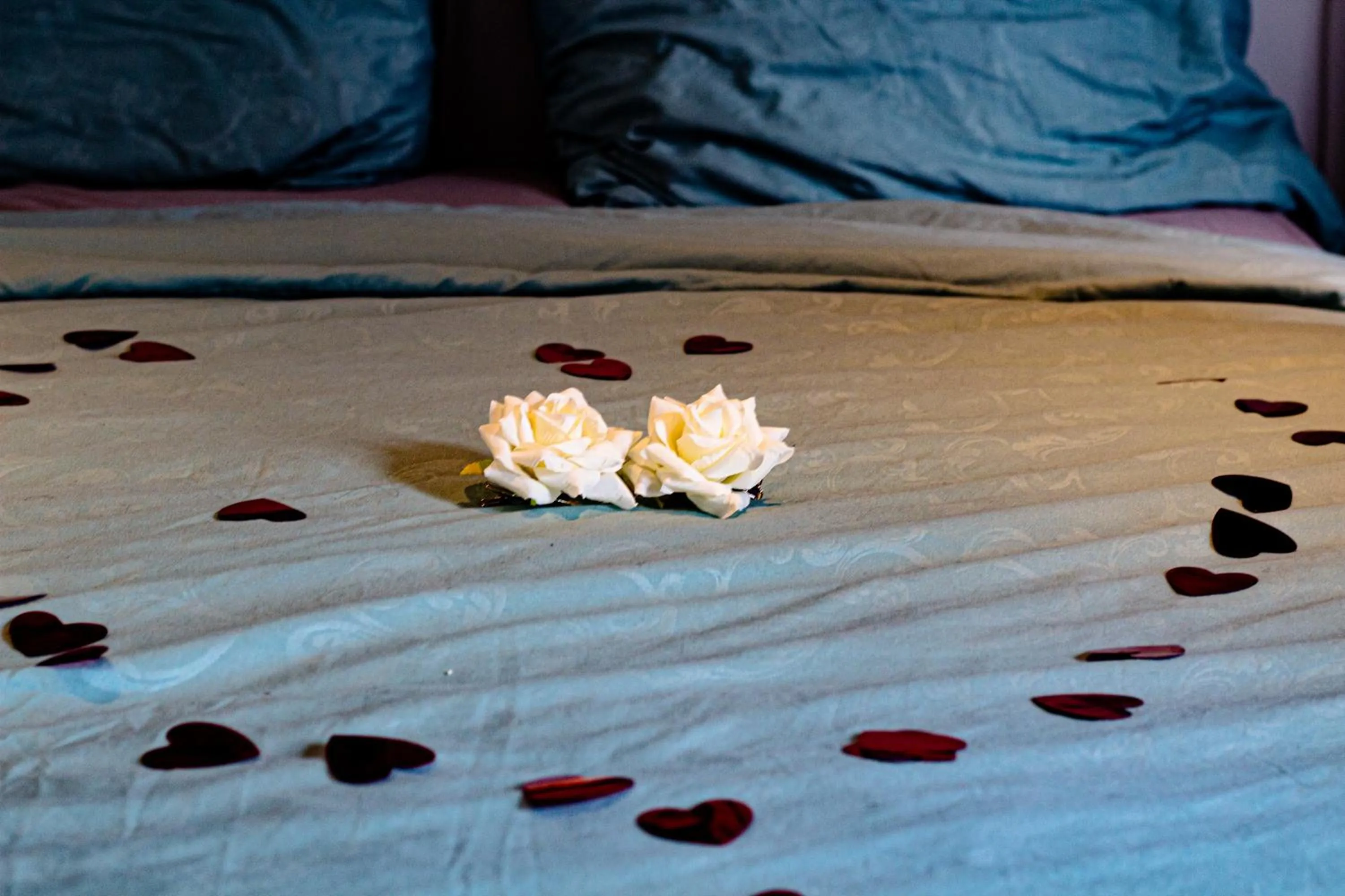 Bed in Bed and Breakfast Amsterdam Holy Dove
