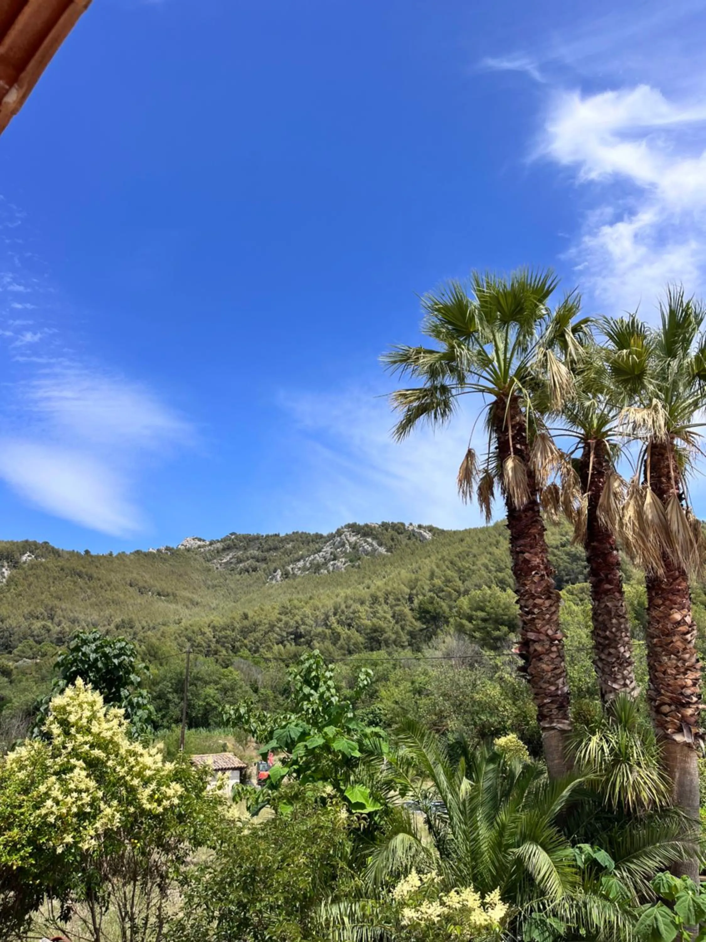 Garden view in AUBERGE DES PINS