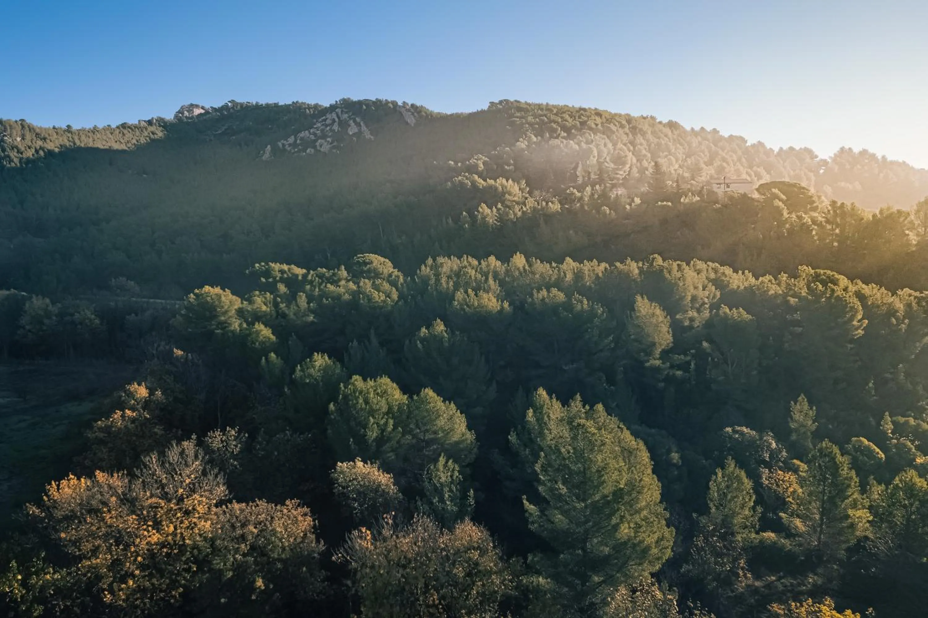 Natural landscape in AUBERGE DES PINS