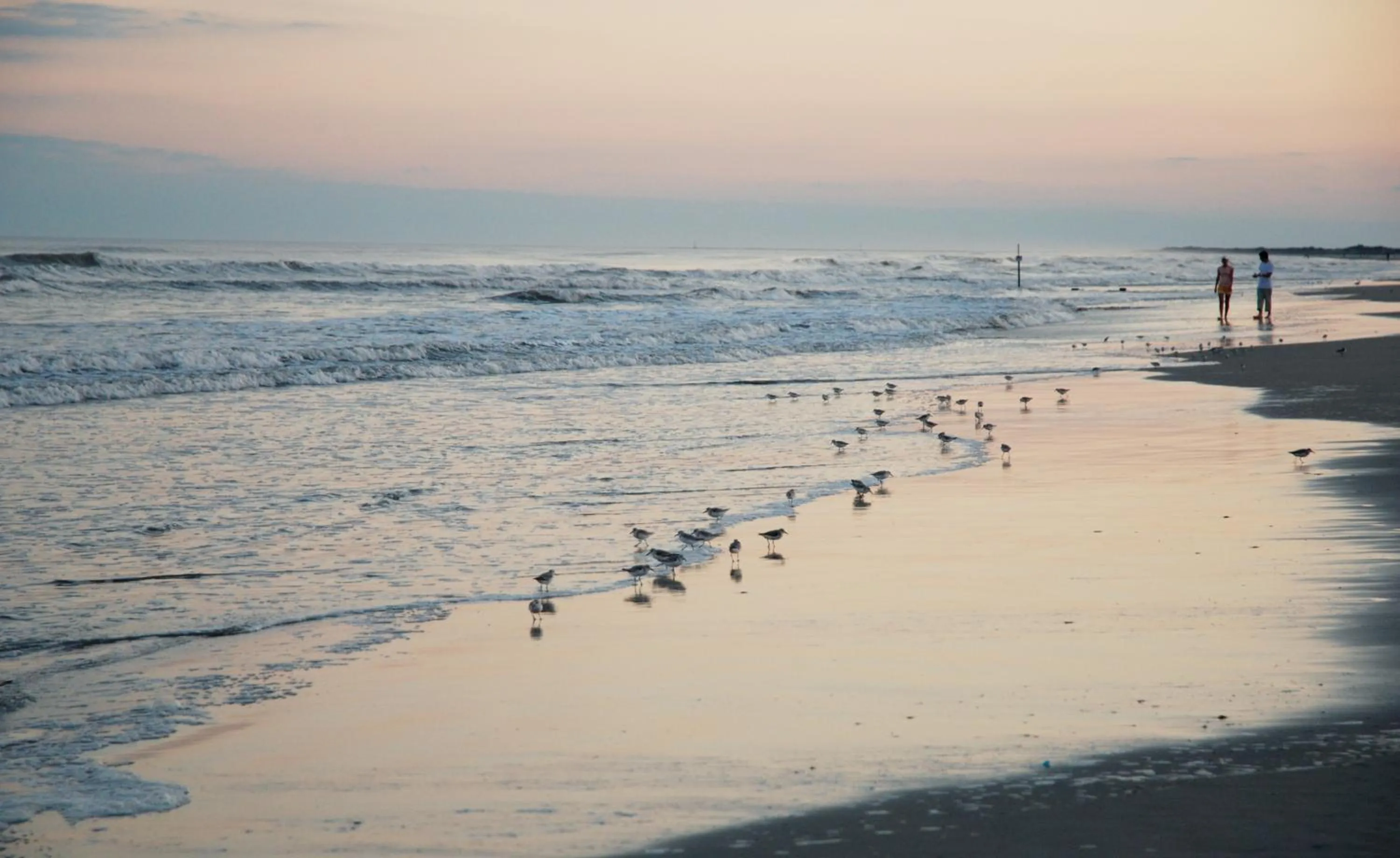 Area and facilities in Shalimar Resort