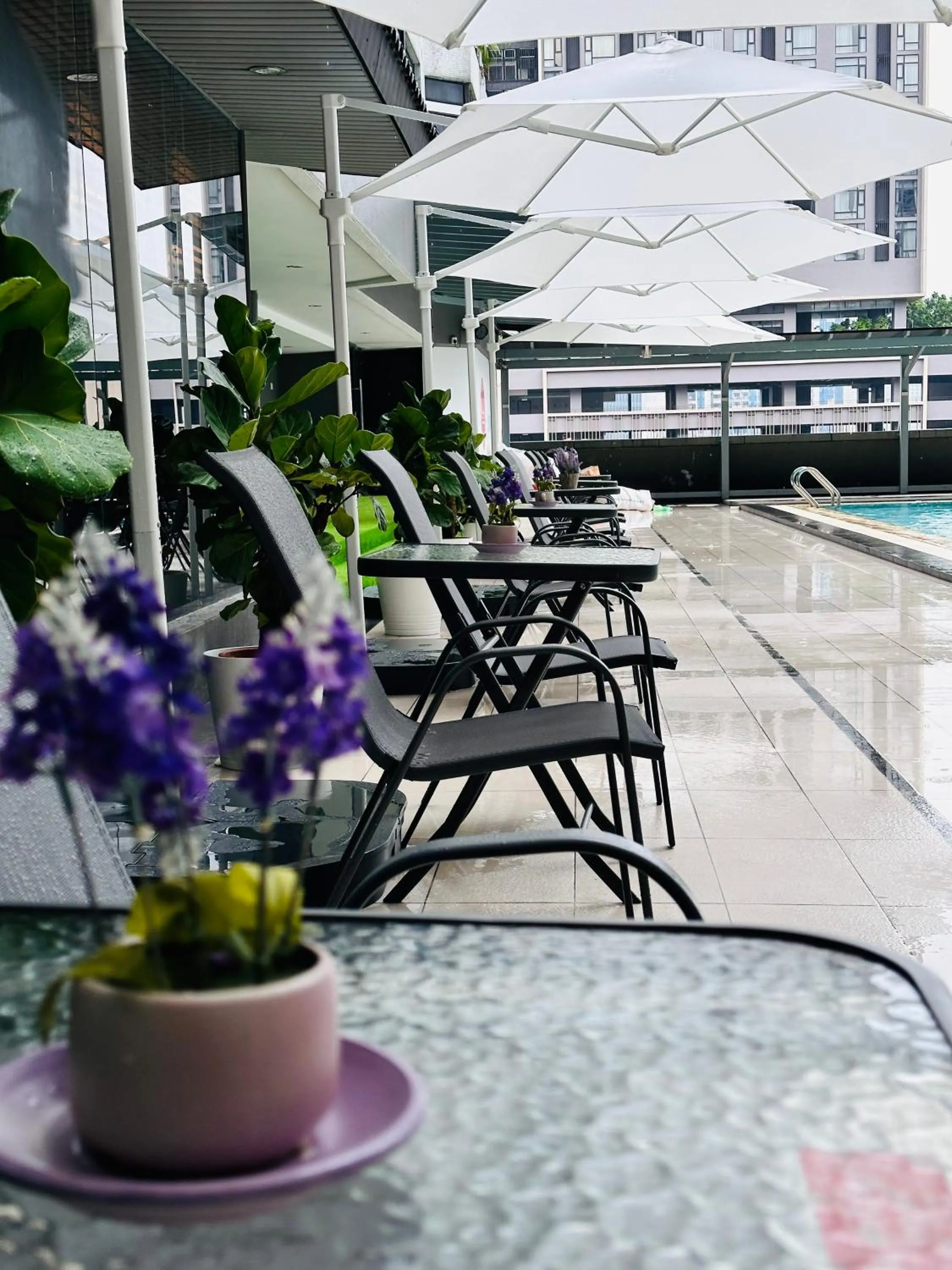 Swimming pool in The Bed Bukit Bintang