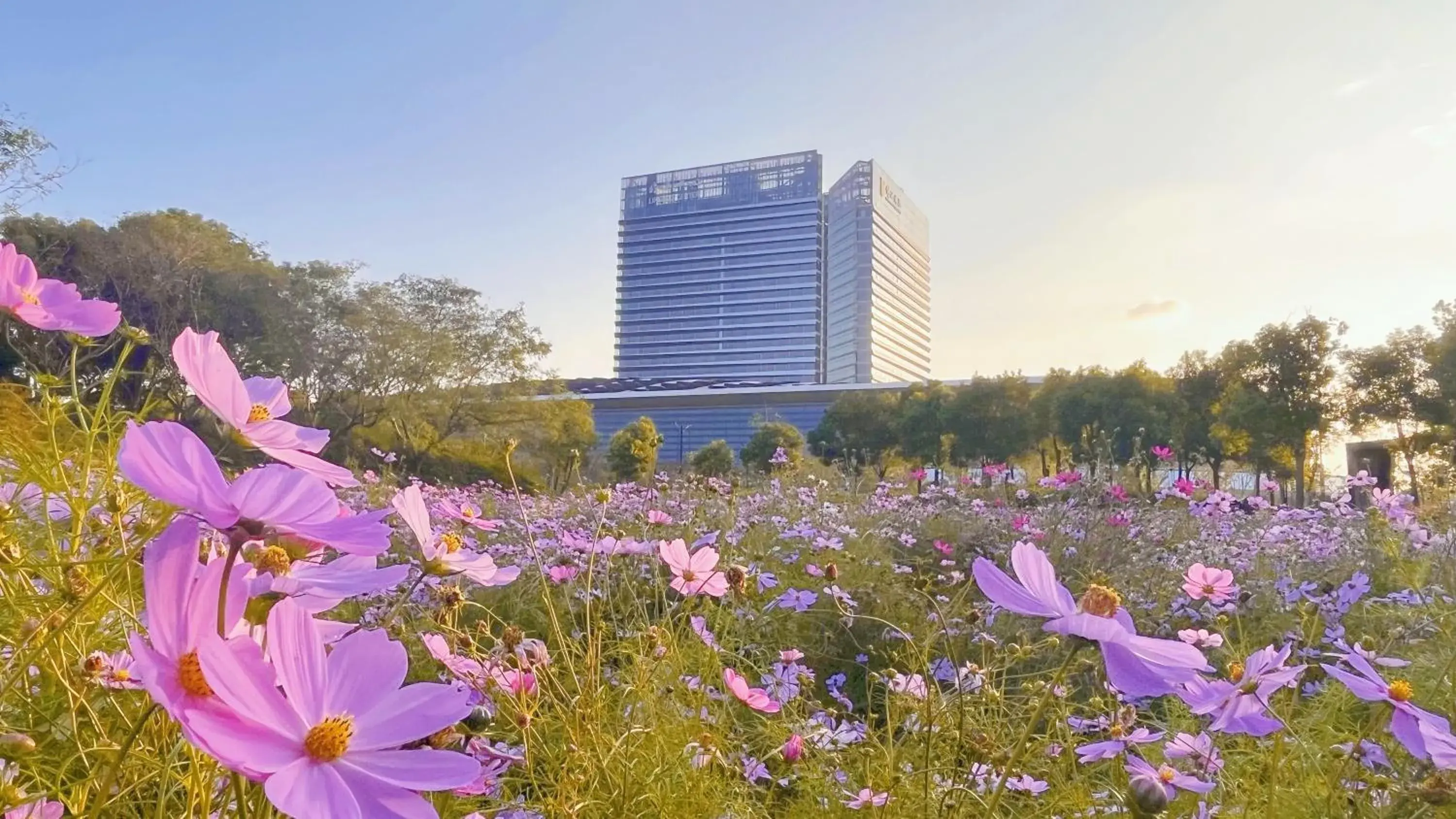 Property building in Radisson Collection Lingang Shanghai Property building in Radisson Collection Lingang Shanghai