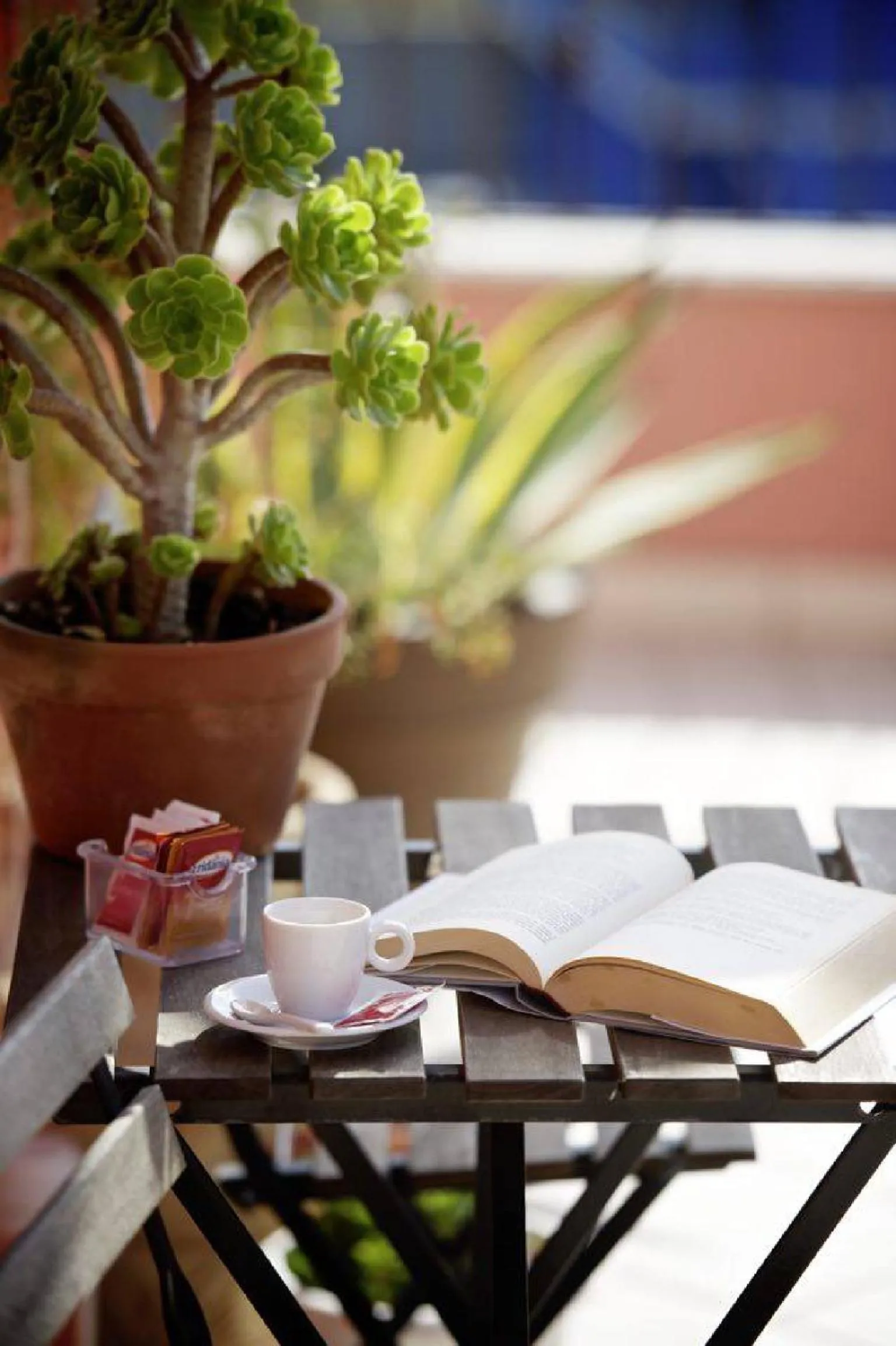 Balcony/Terrace in Bed and Breakfast La Terra dei Mari