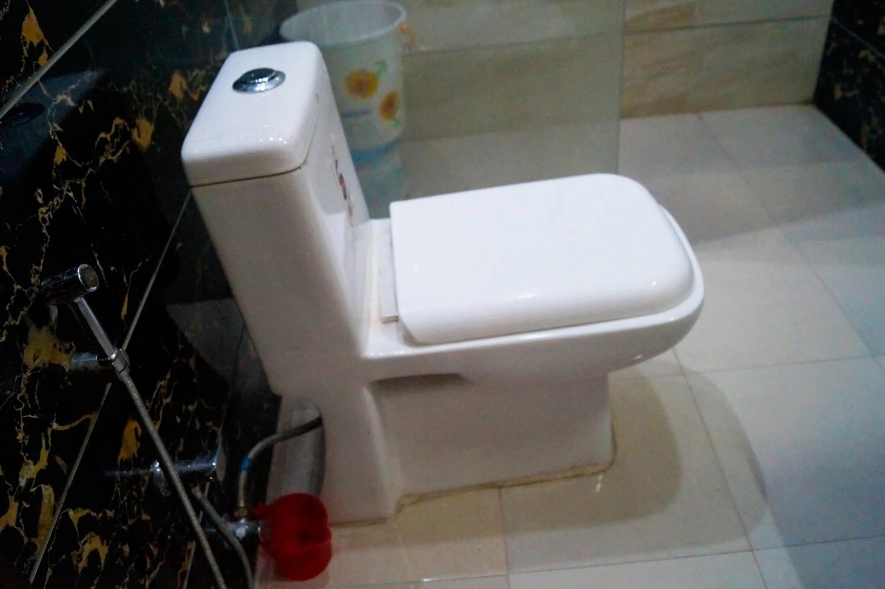 Hotel Maharaja Continental - New Delhi