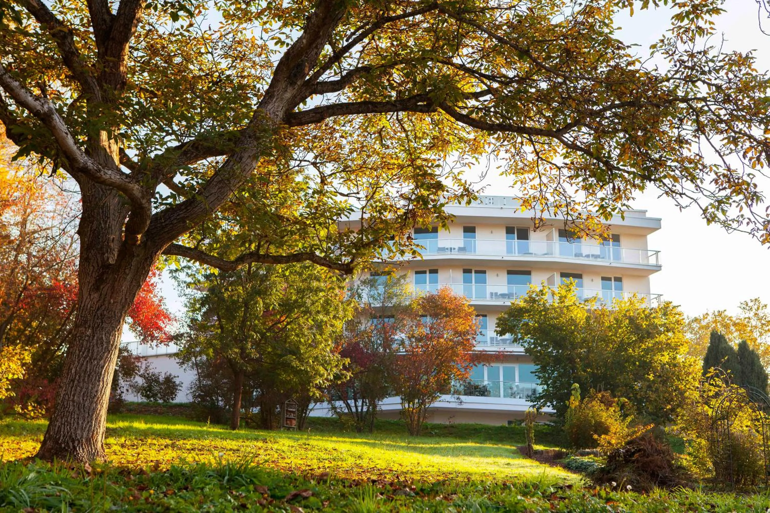 Property building in Schwitzer's Hotel am Park