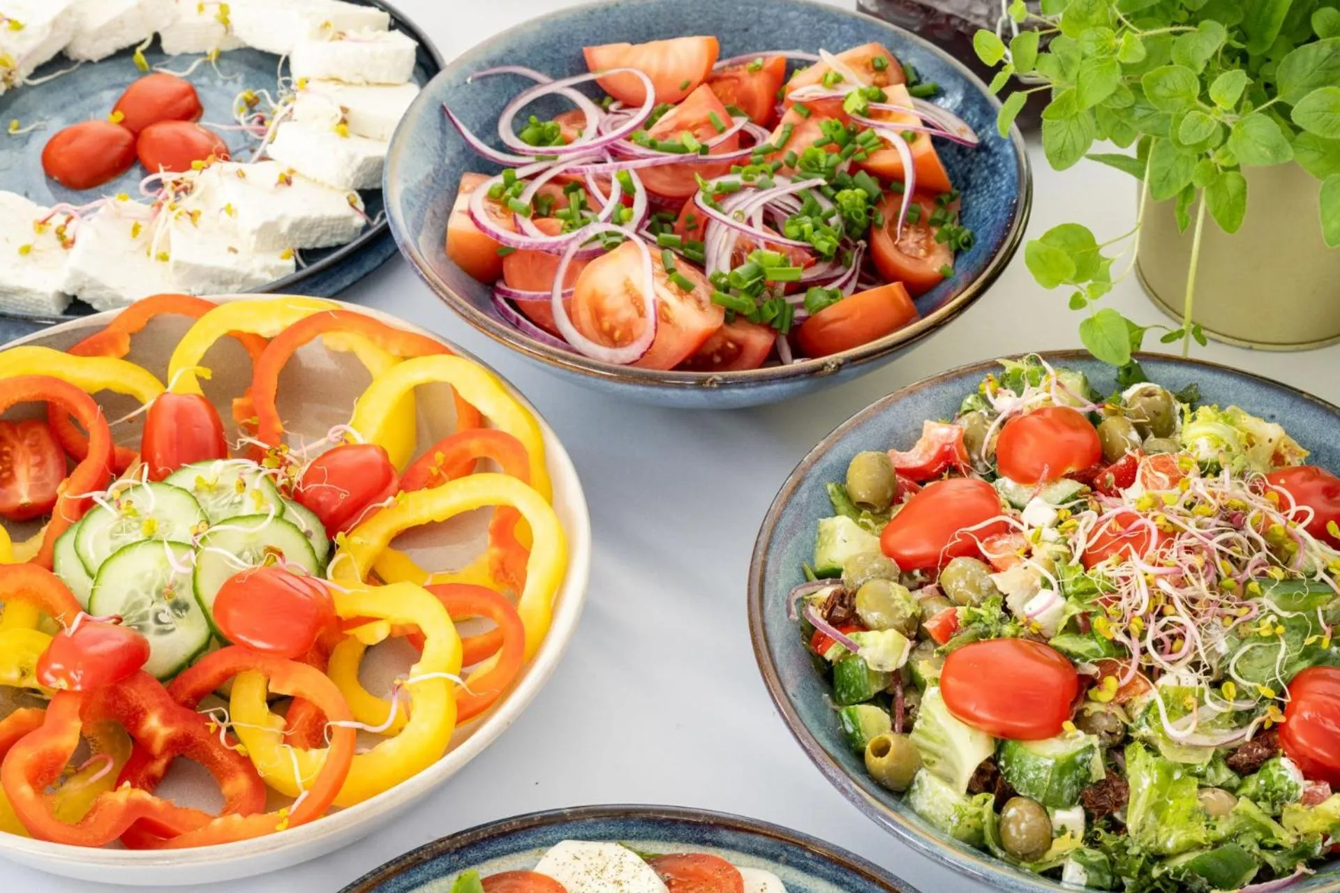 Hotel Rzemieślnik Zakopane